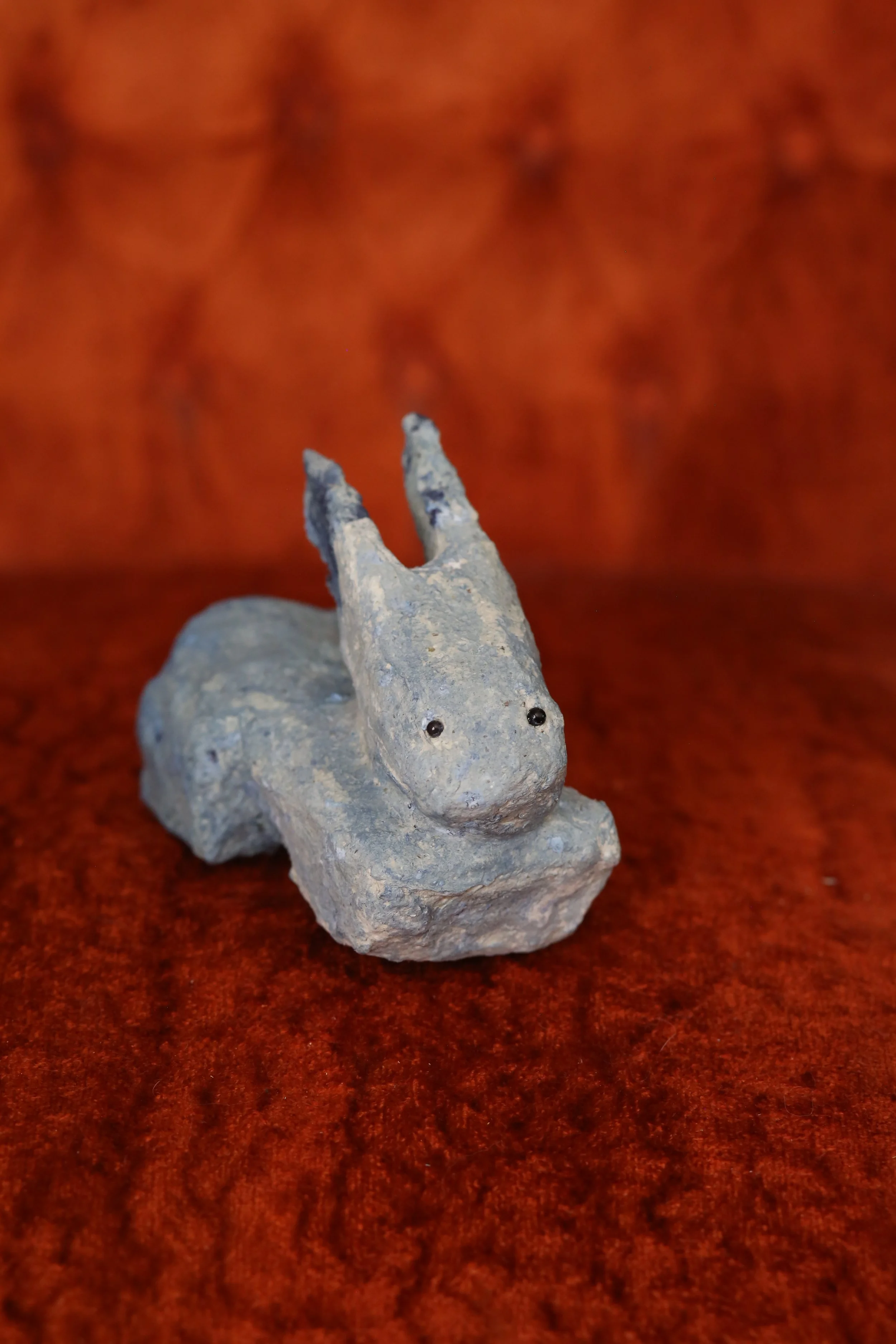 03_small indigo rabbit_1.JPG