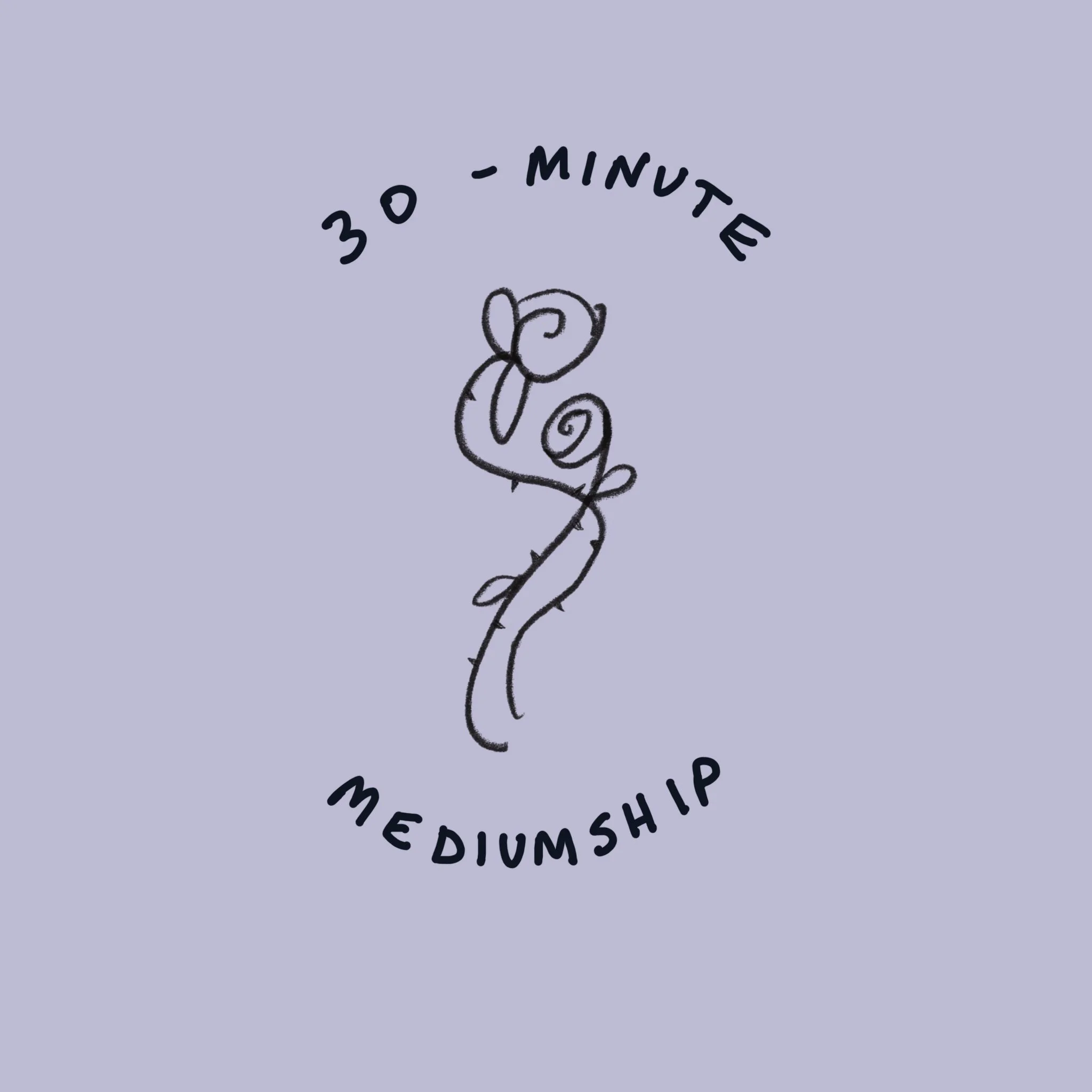 30-minute Mediumship Reading