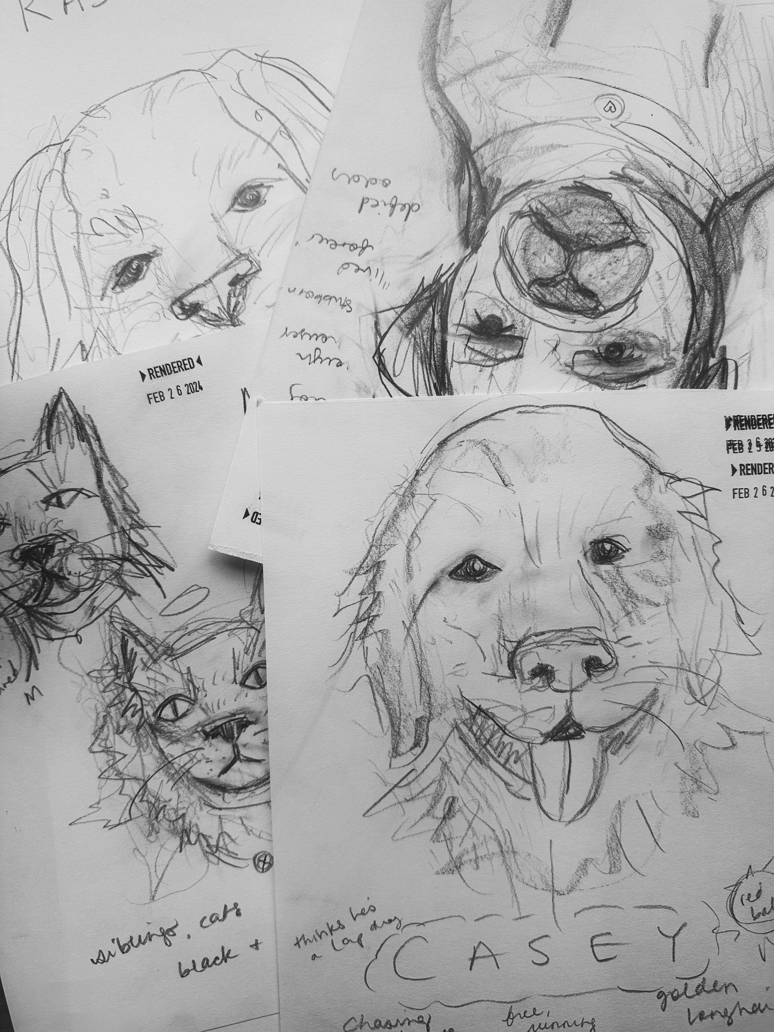 Awakening to animal communication and the spirits of departed pets