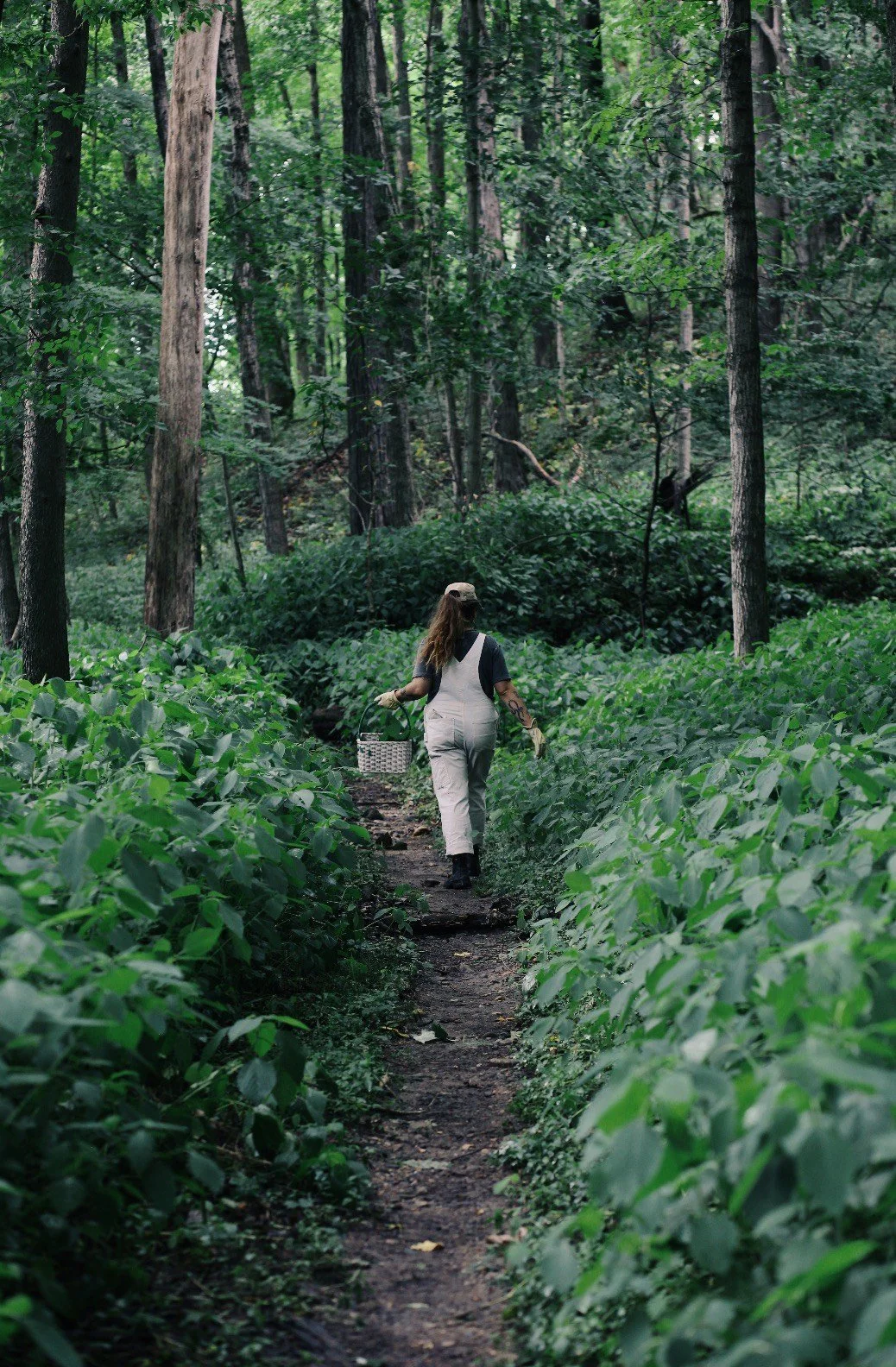 foraging is an act of spiritual resistance