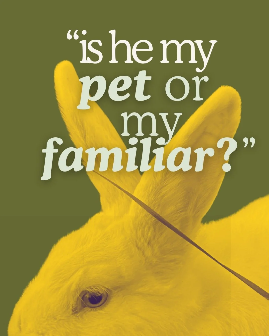 “Is he my pet, or something more?”