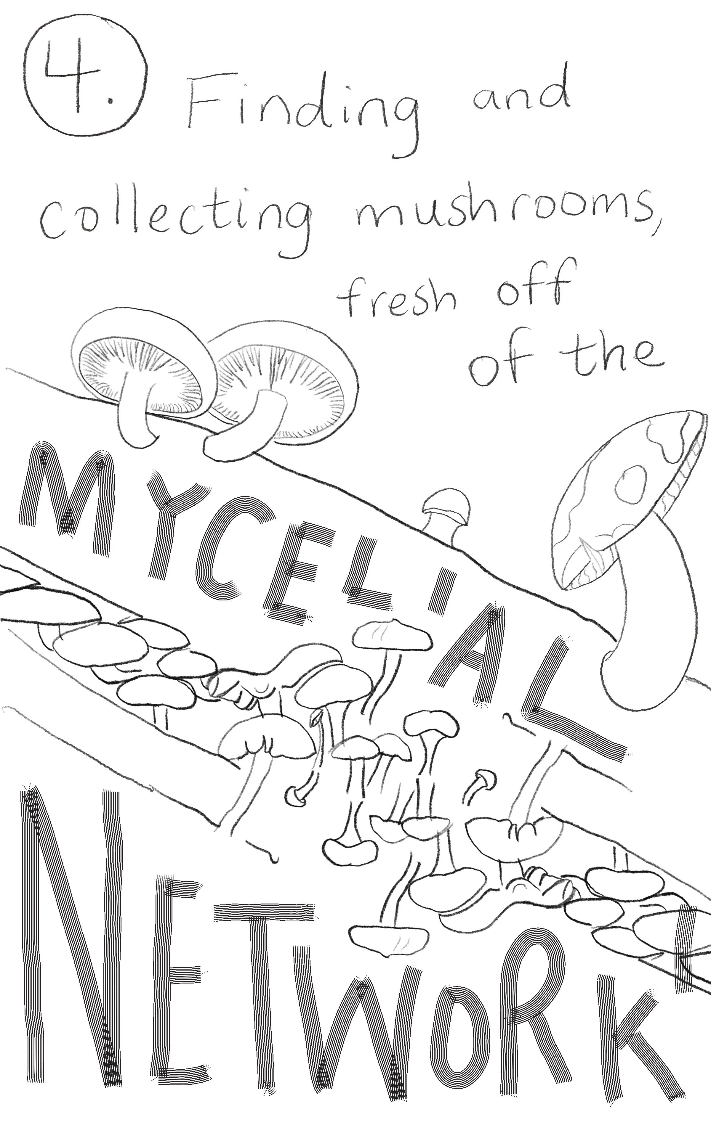 Untitled_Artwork 27.JPG