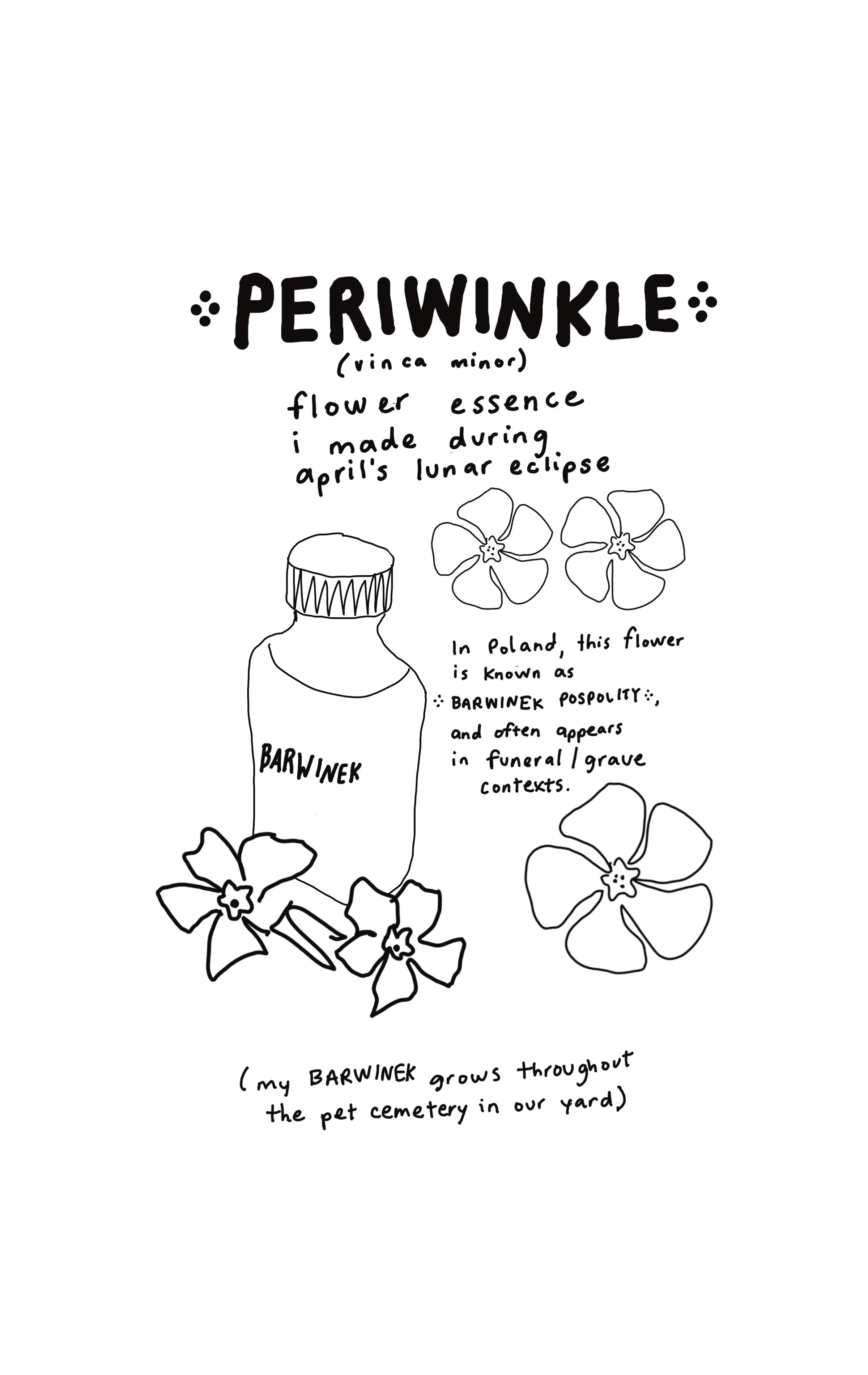 Untitled_Artwork 35.JPG