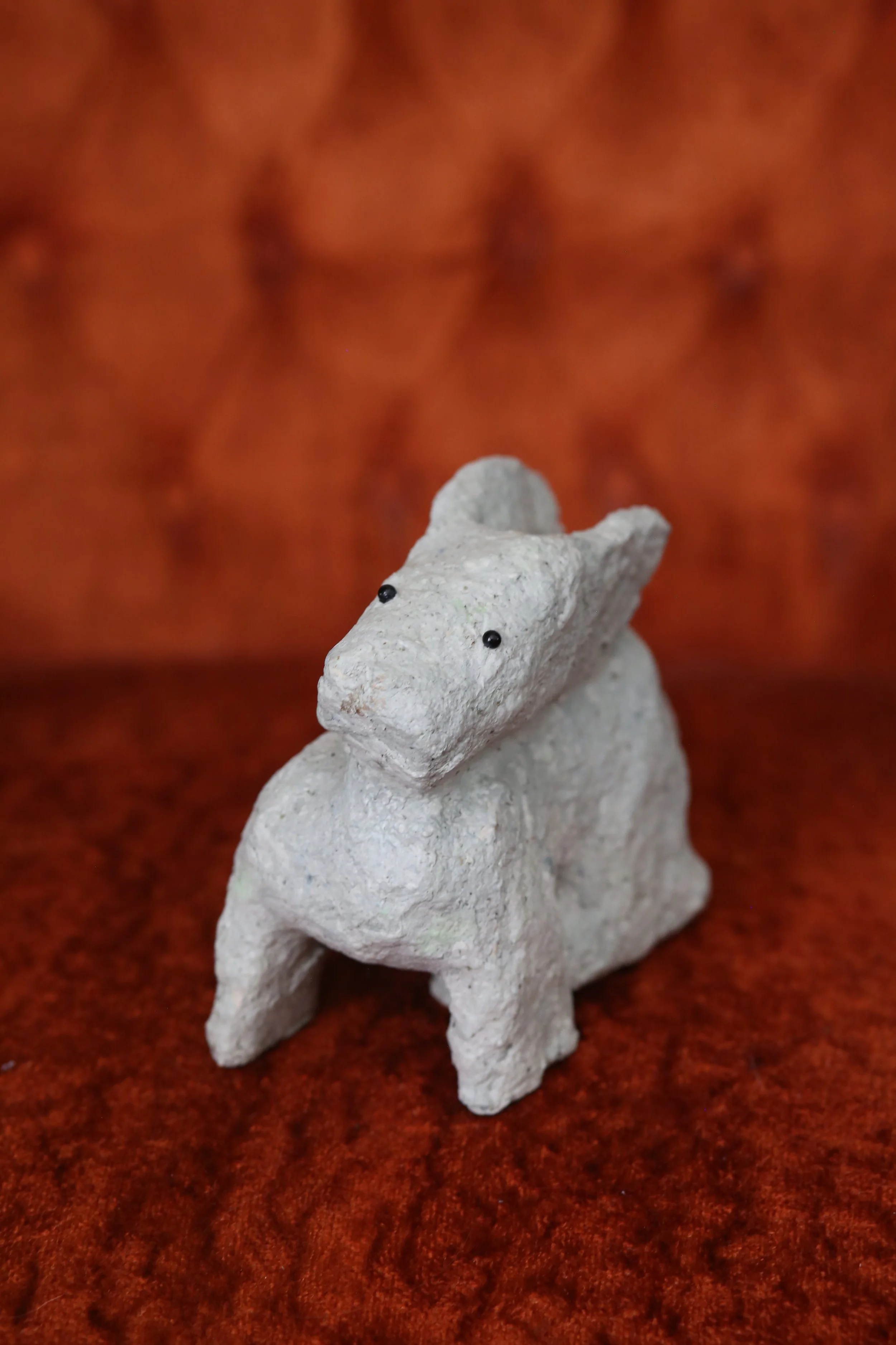 04_rabbit dog_1.JPG