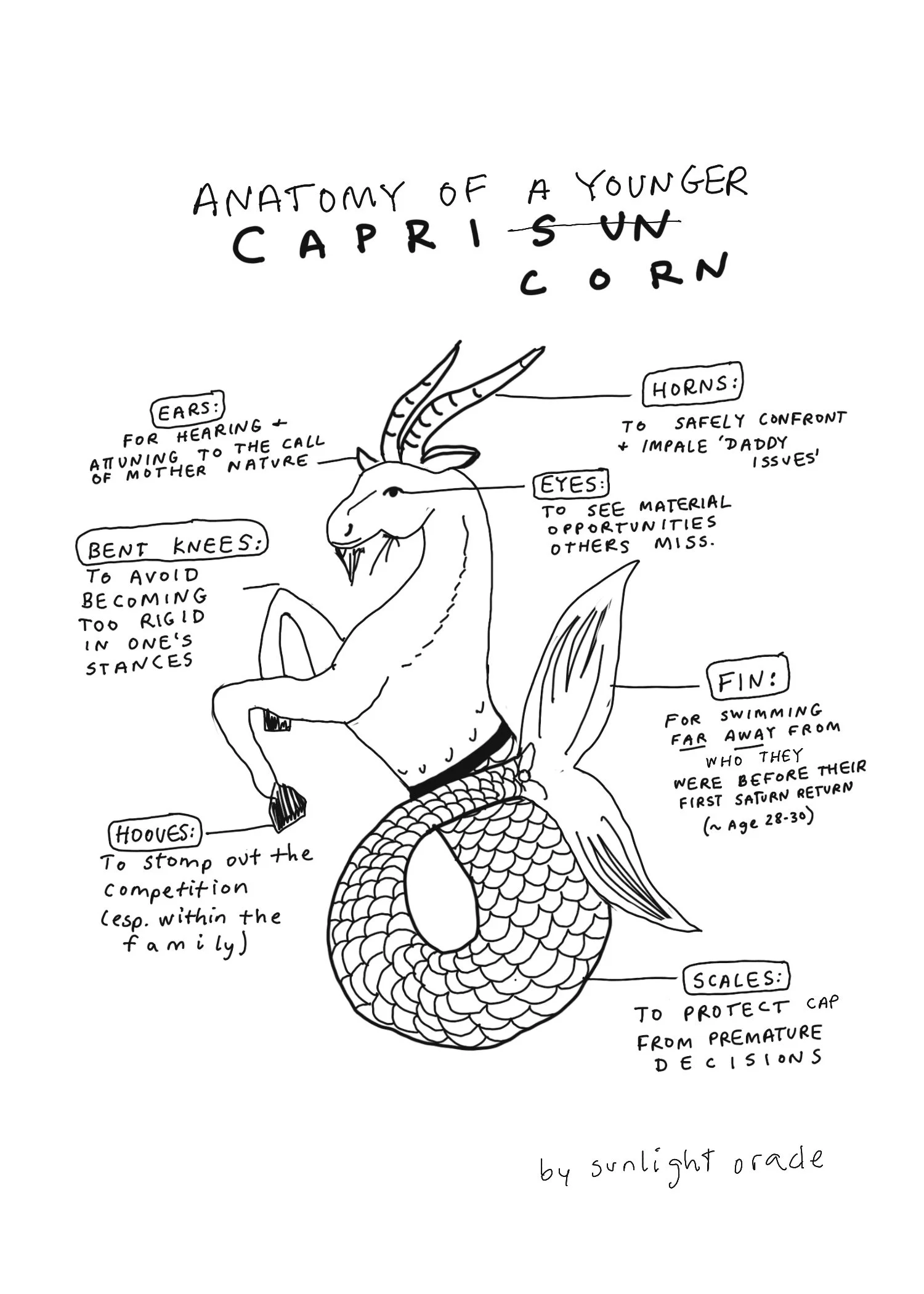 Untitled_Artwork 101 copy.jpg