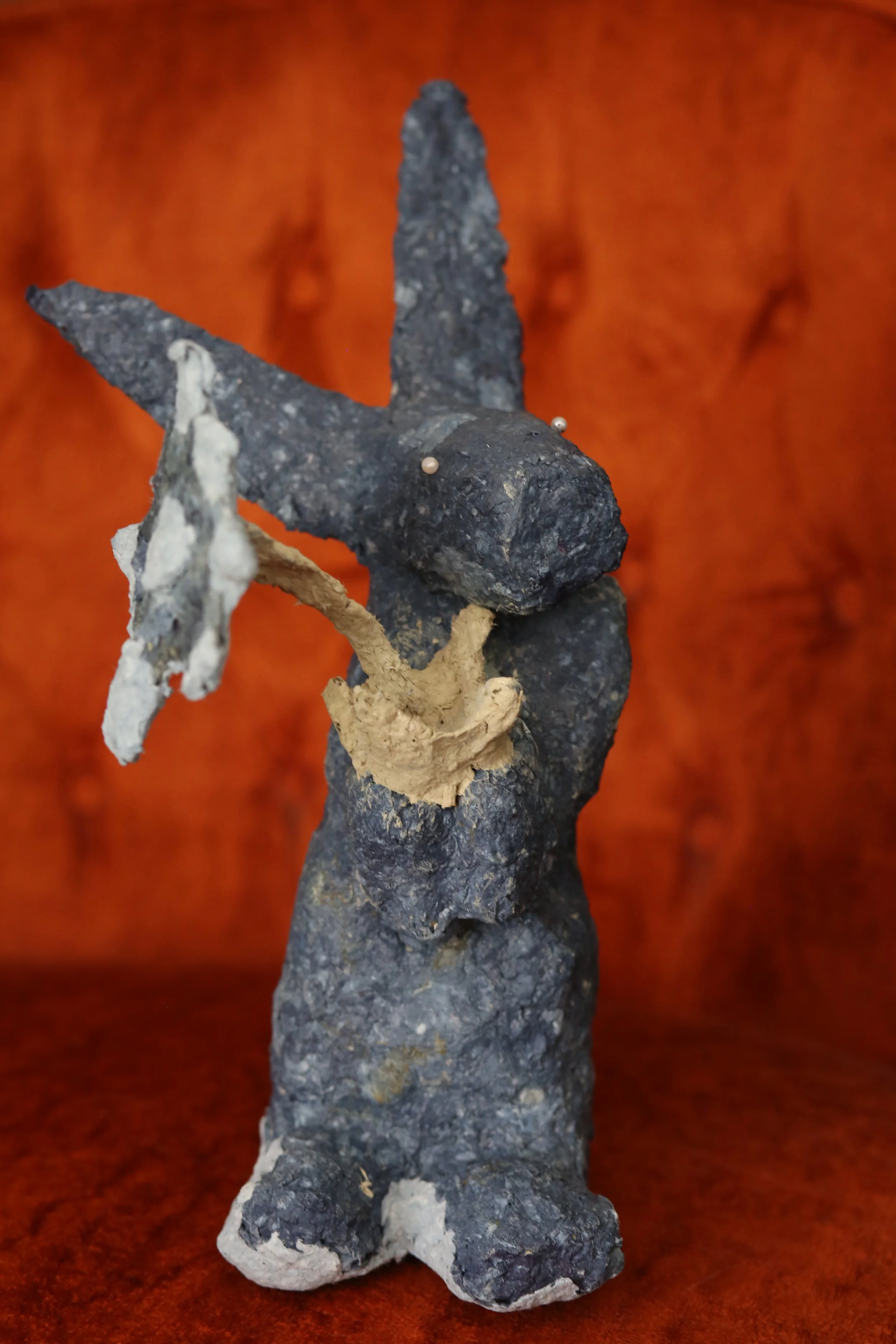Indigo Star Rabbit