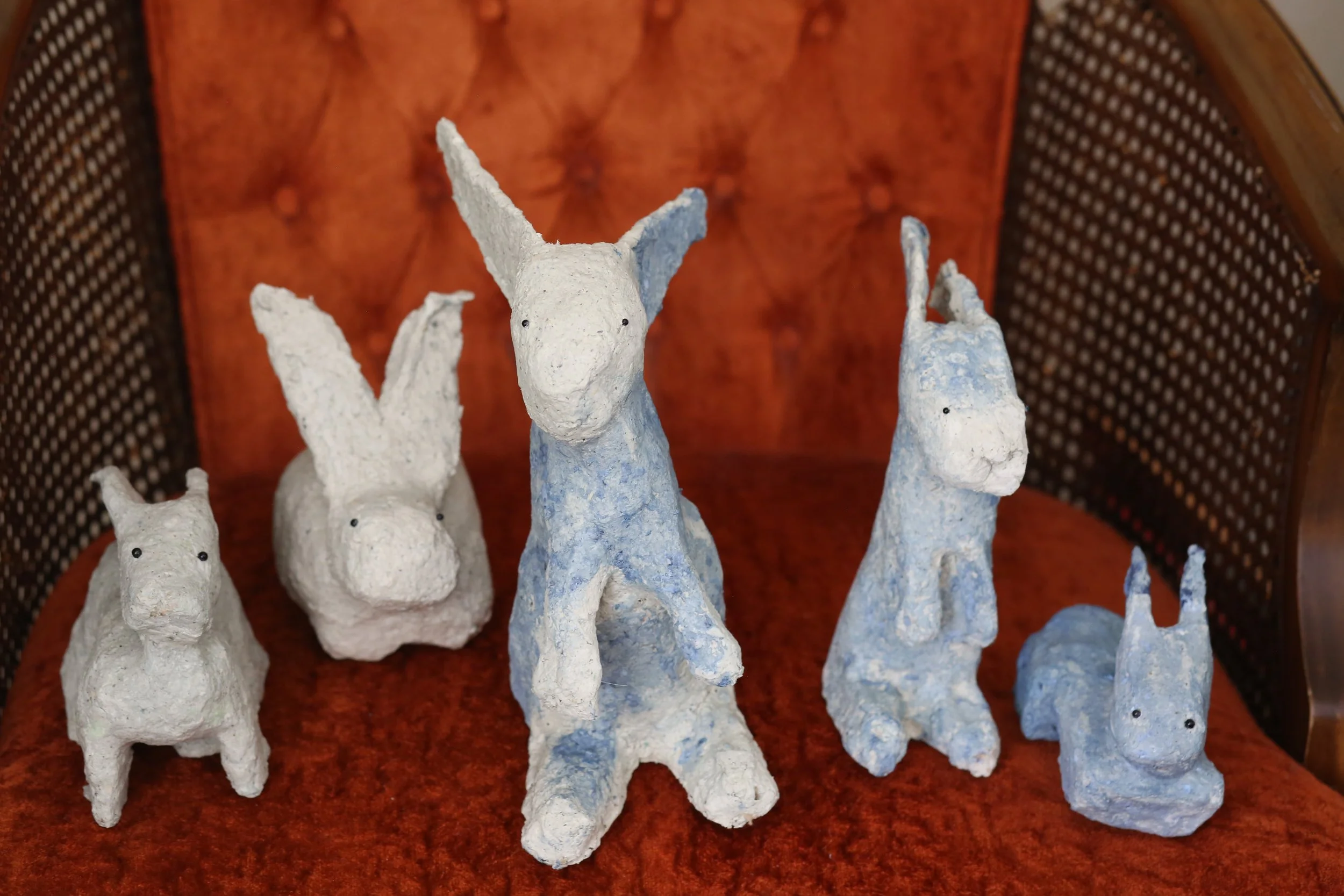 13_rabbit family_2.JPG