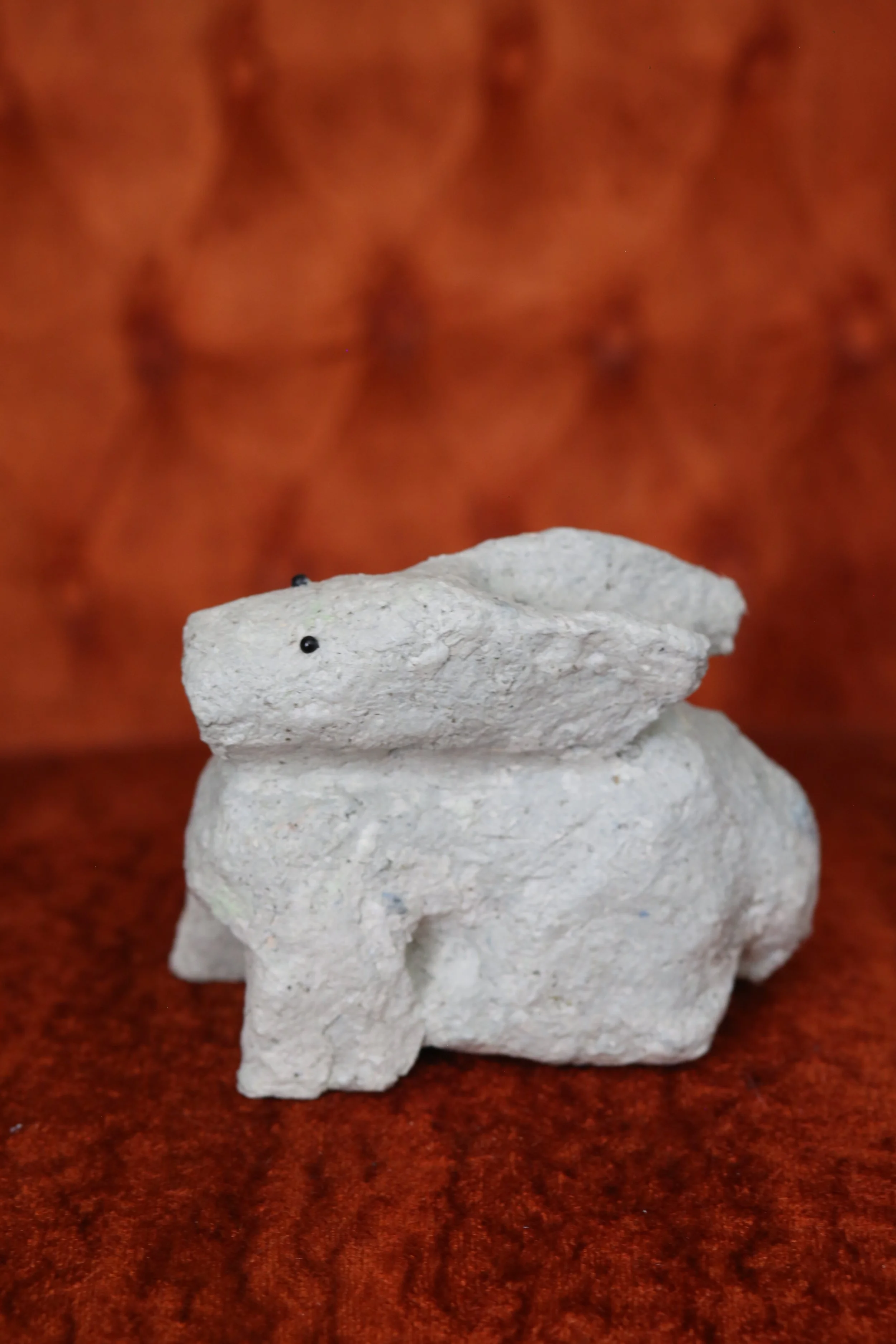 04_rabbit dog_2.JPG