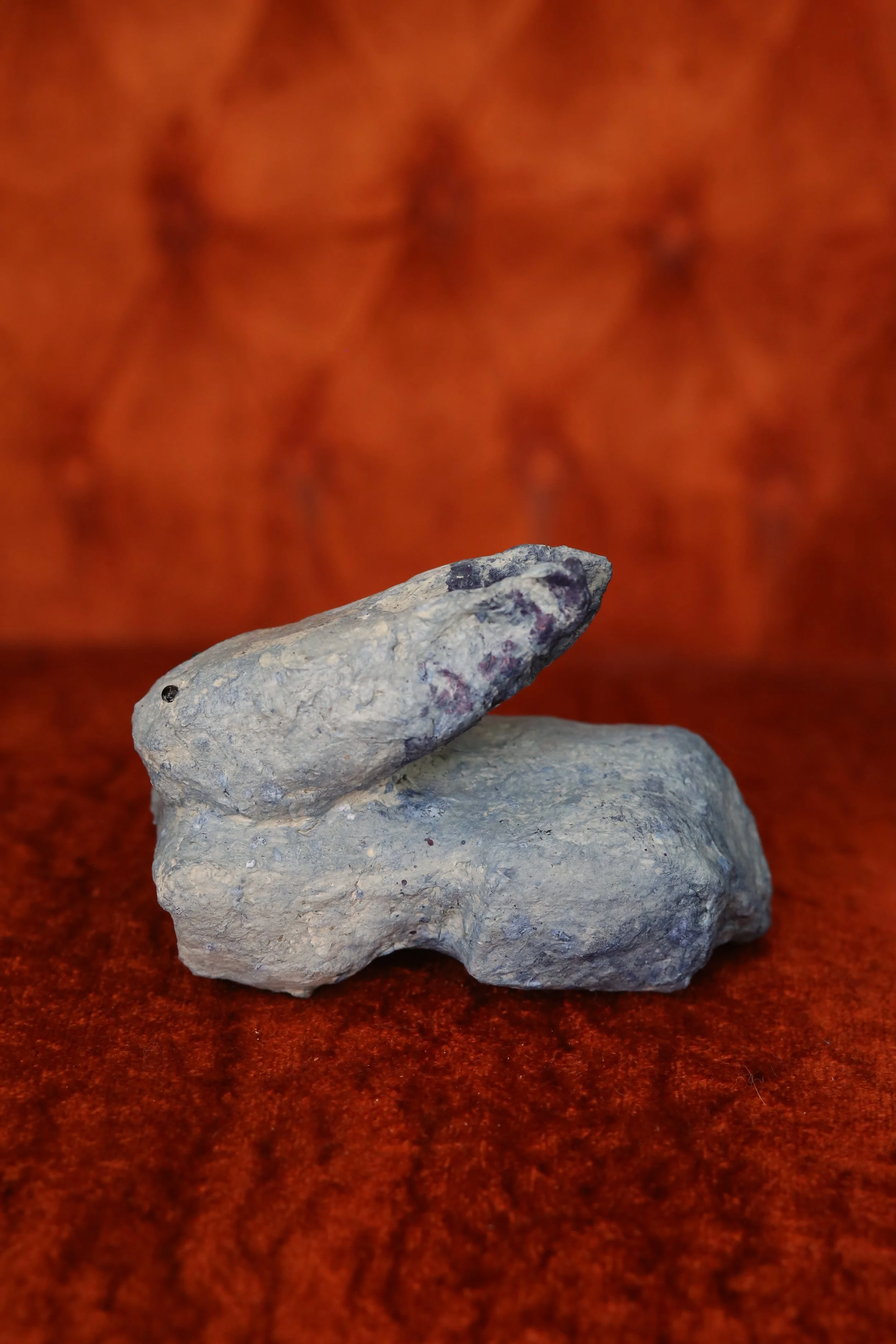 03_small indigo rabbit_3.JPG