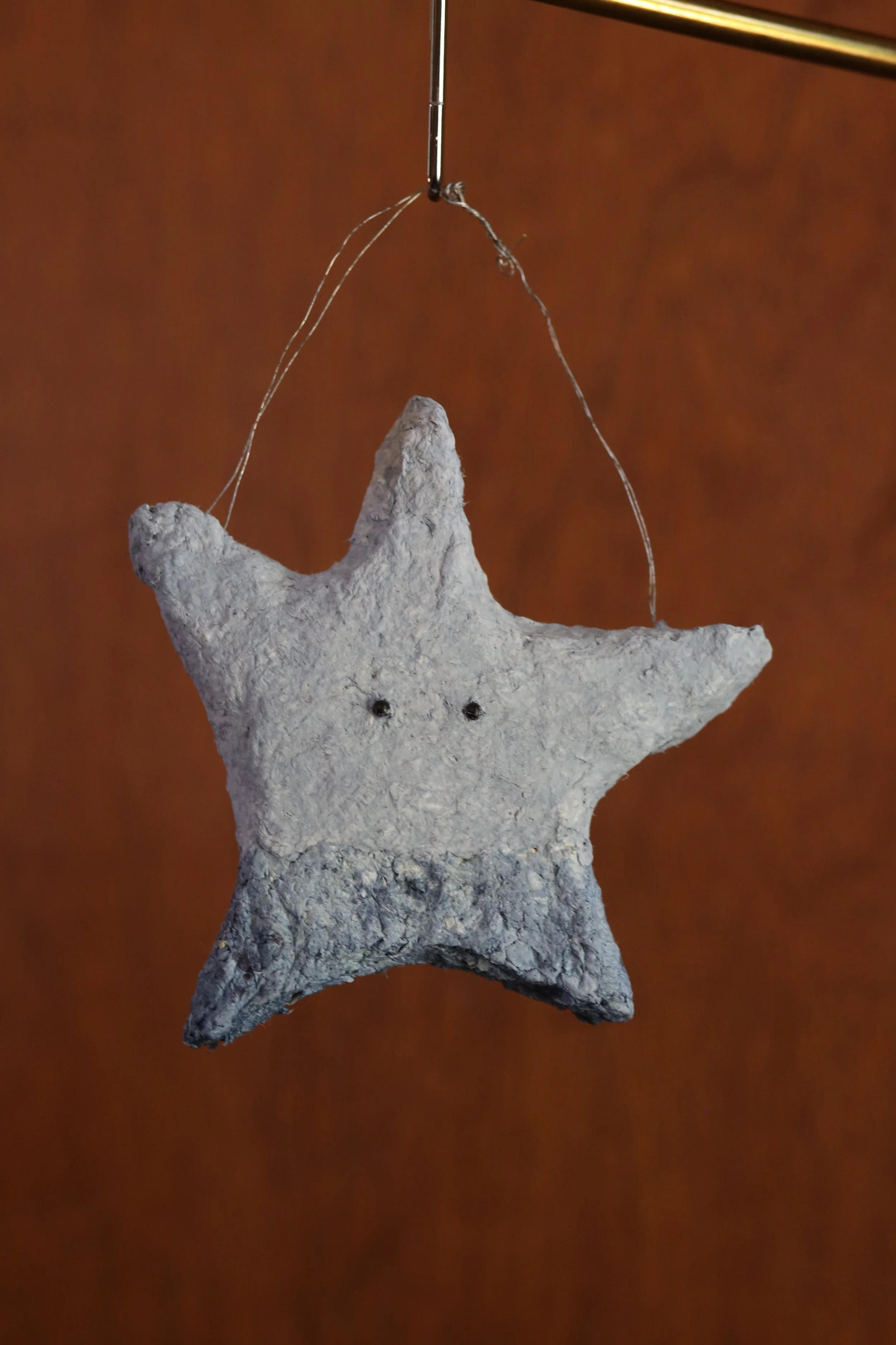 10_the star_1.JPG