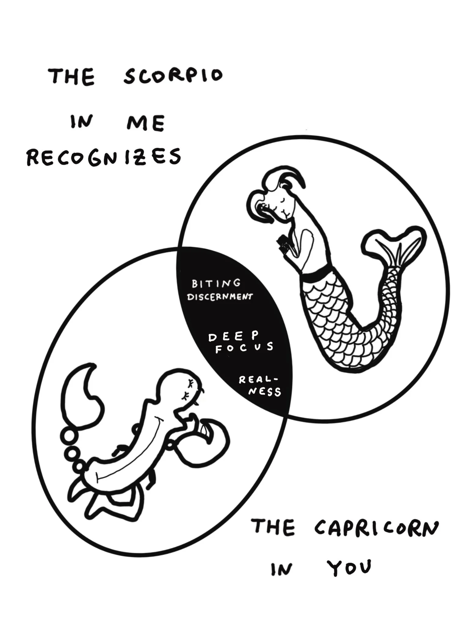 Untitled_Artwork 101.jpg