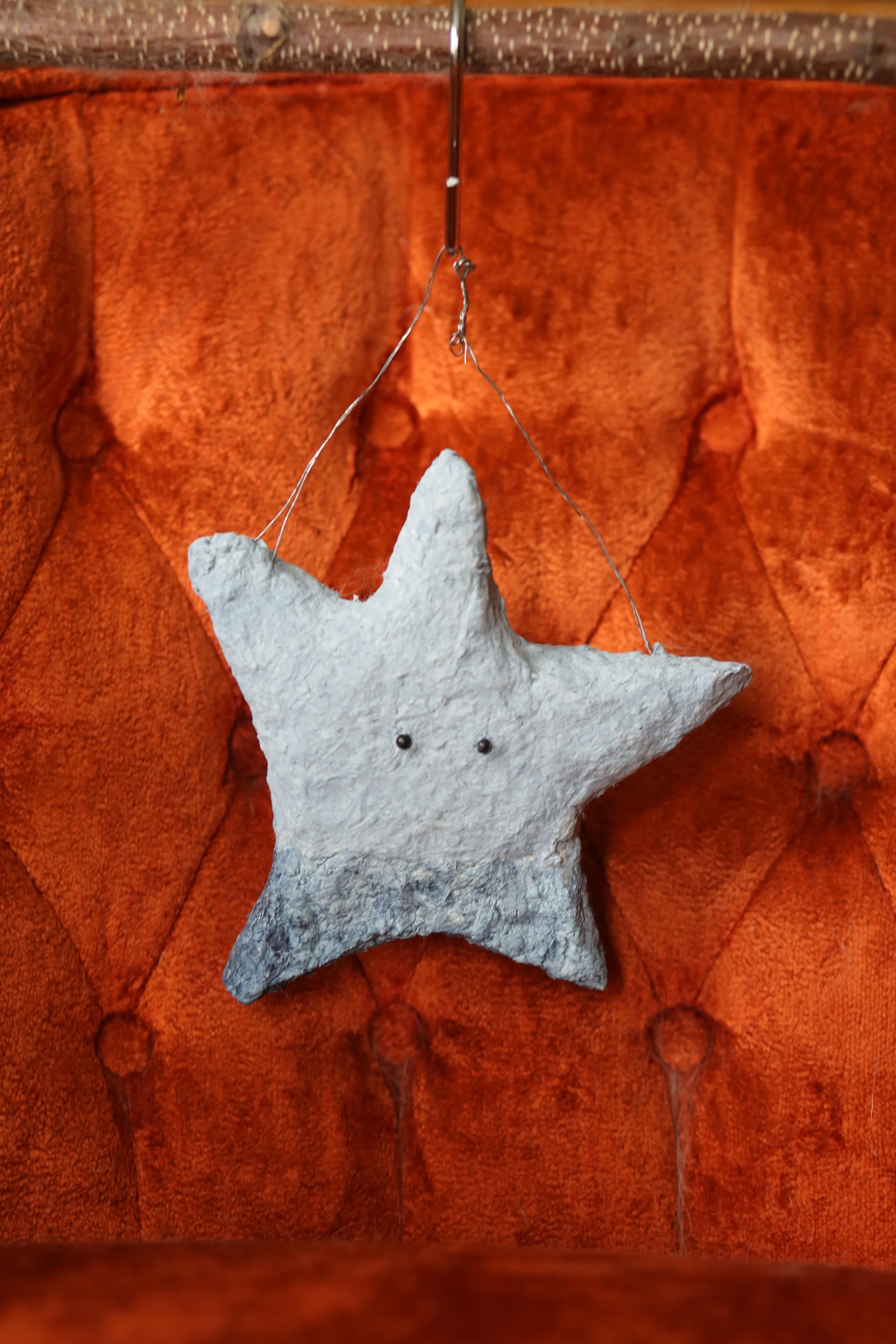 the indigo star_02.JPG