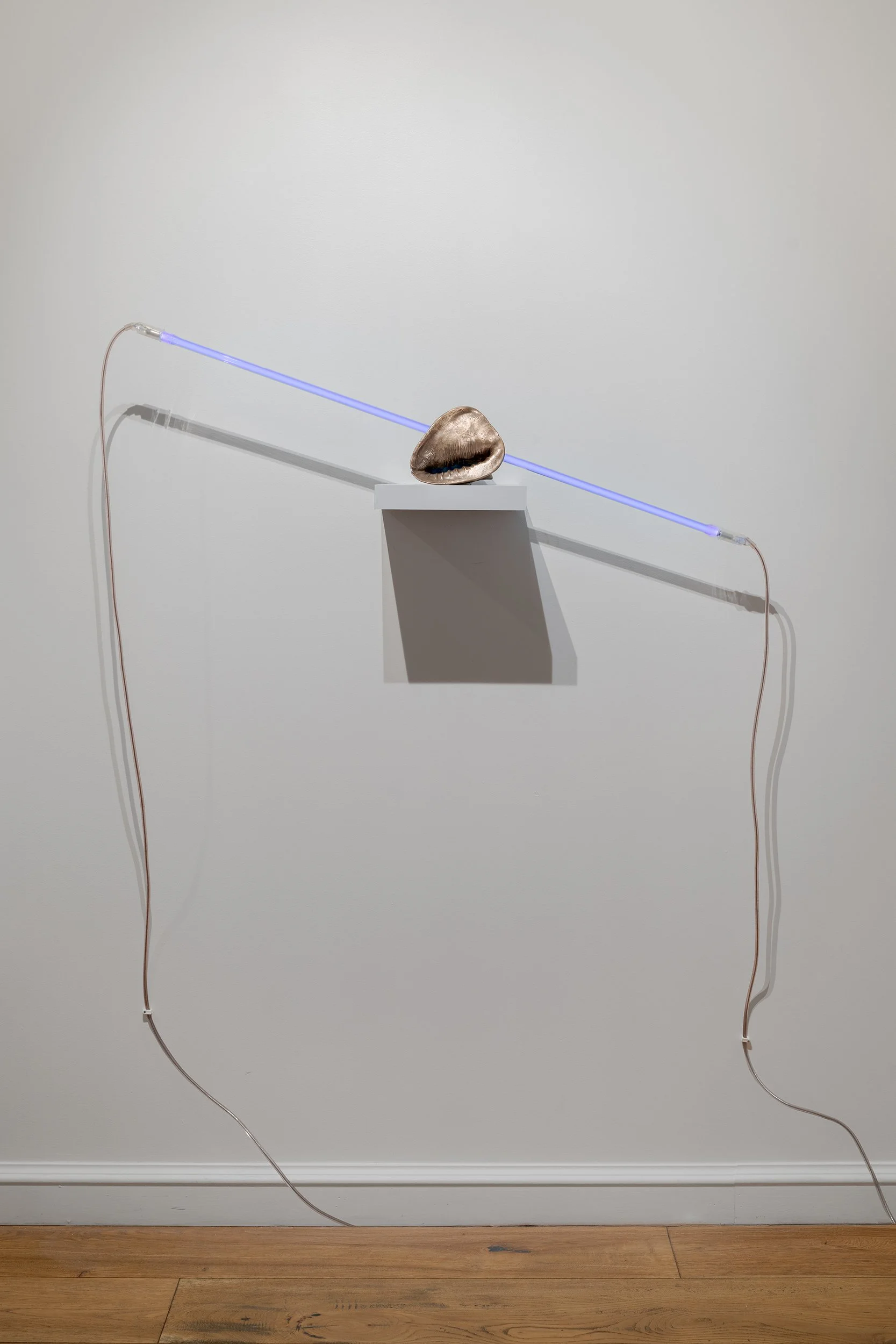 Waves, 2026
Neon and Bronze
46 x 8