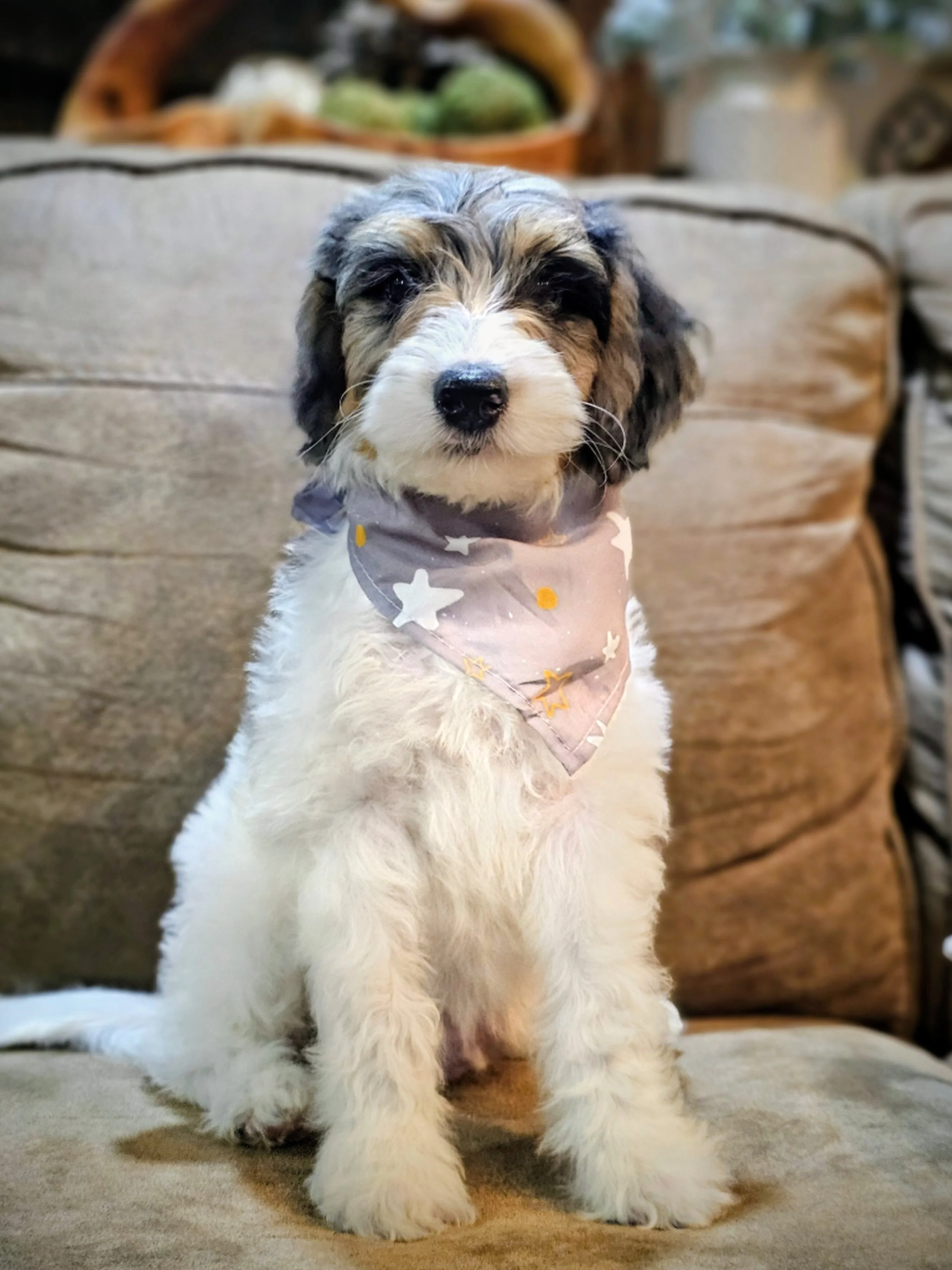 Milky Way Ranger 1.jpg