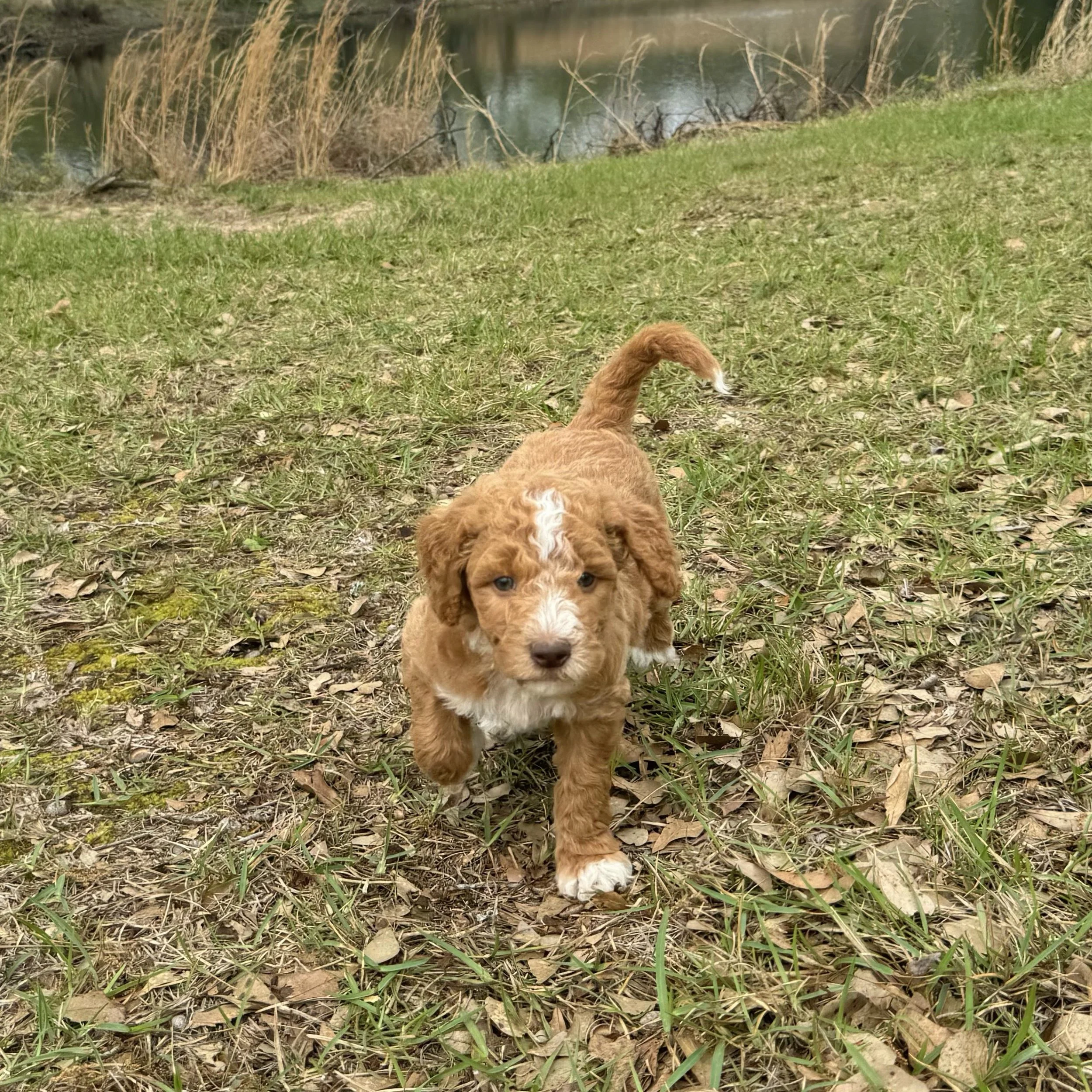 RESERVED ~ Mr Denton