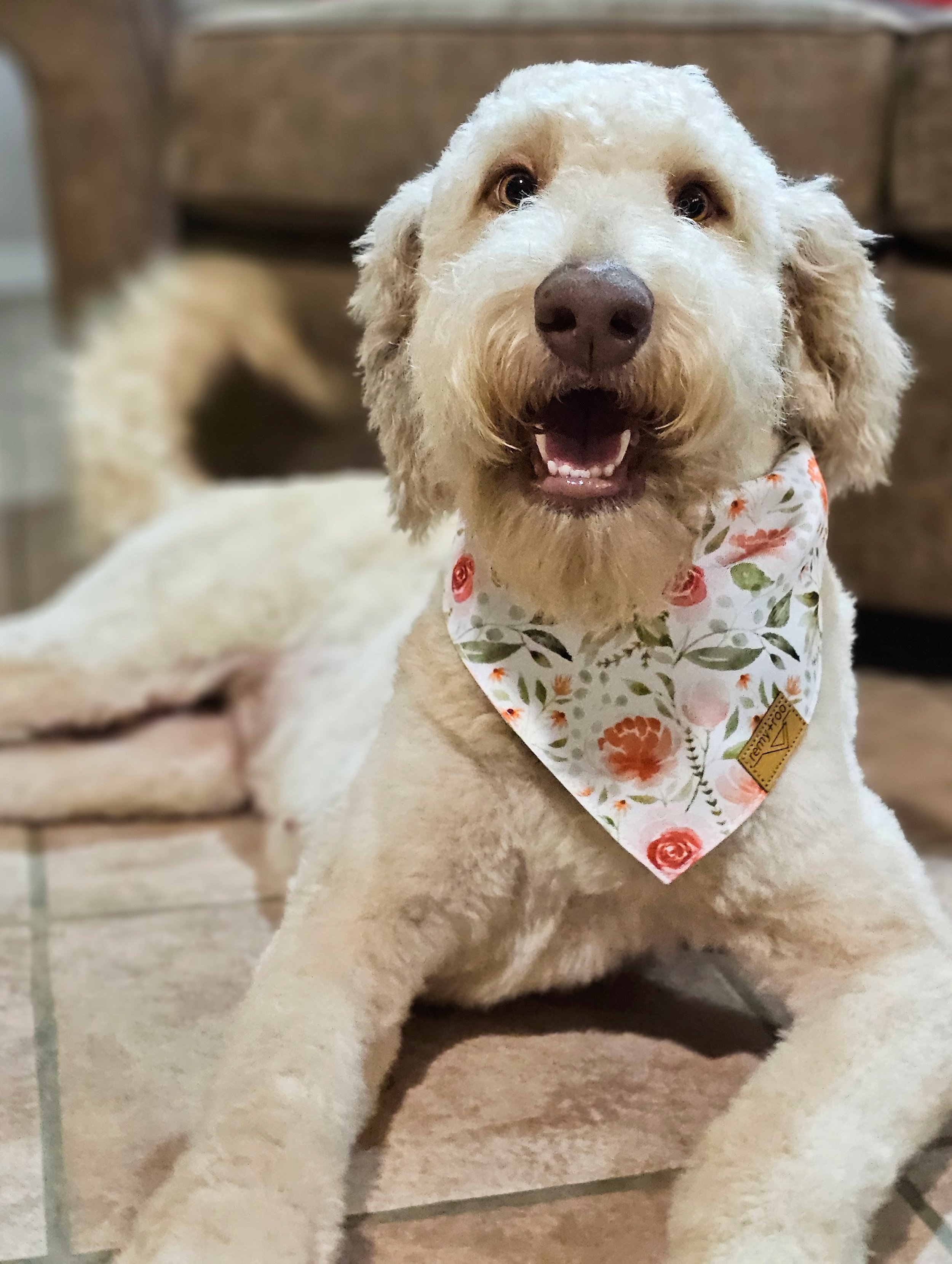 Rosie_orange smile.jpg