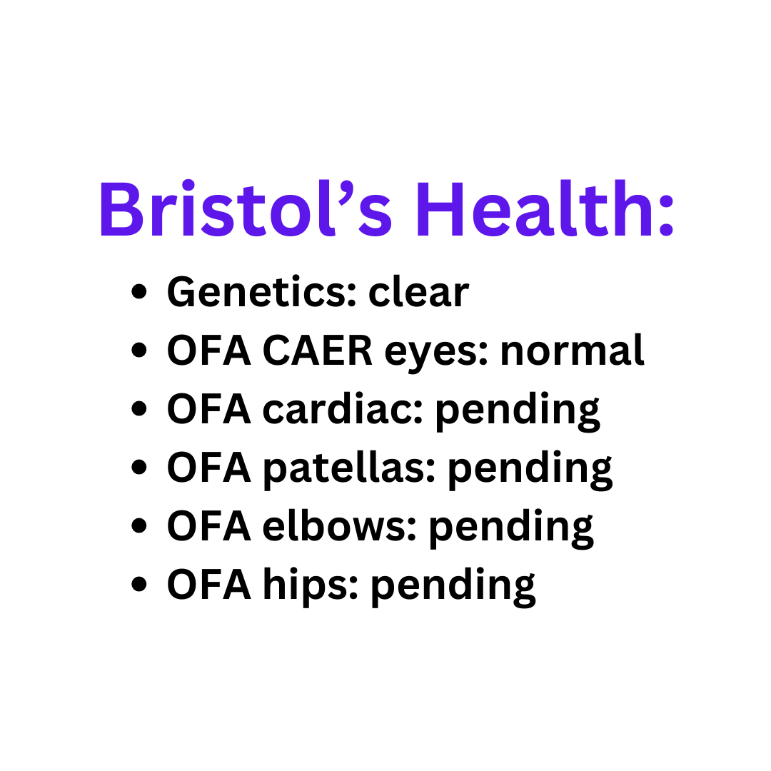 Bristol's Health.png
