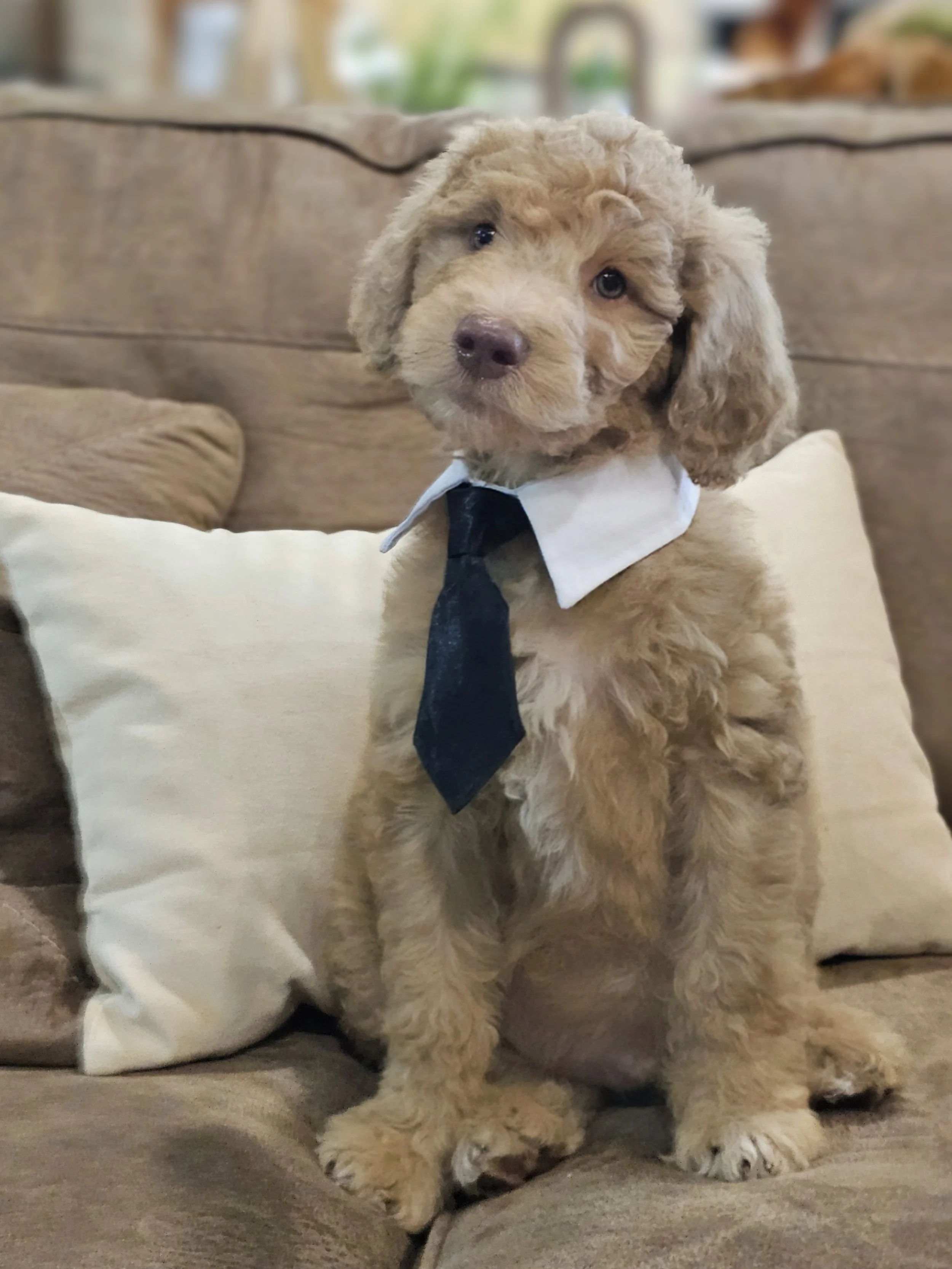 Flynn.jpg