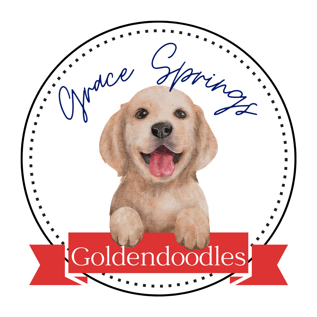 Grace Springs Goldendoodles