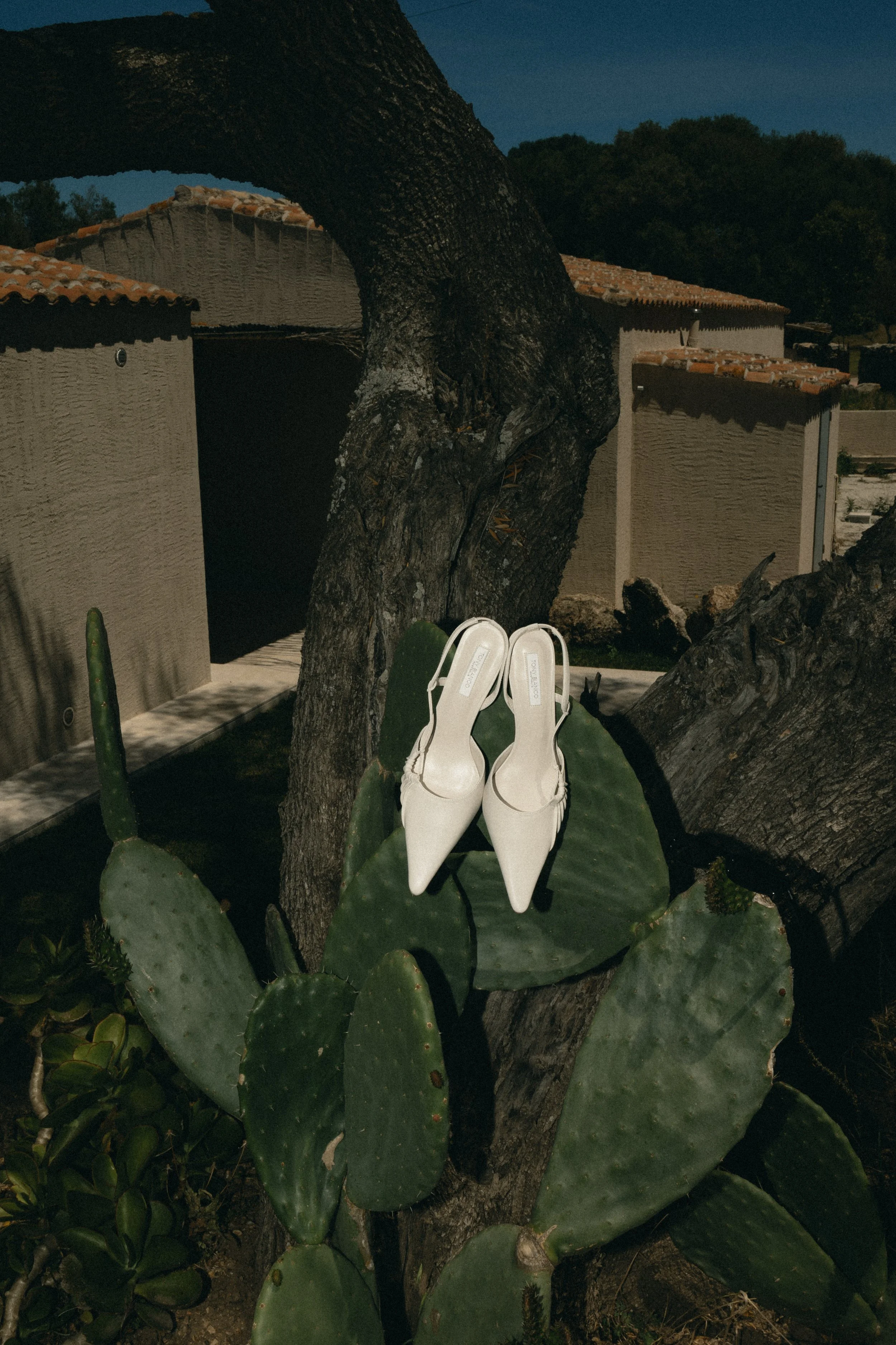 NicoleJosh-OutfitPreviews_0007.jpg