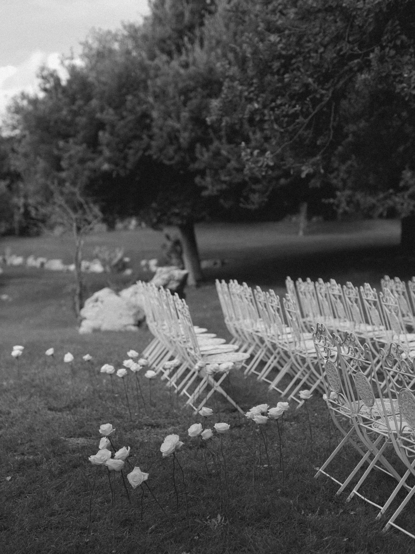 those quiet moments before O+L&rsquo;s Puglian dream 

@edwardtaylorweddings 
@masseriagrieco 

wedding planner | wedding planning | wedding photography | 2027 bride | bridal inspo