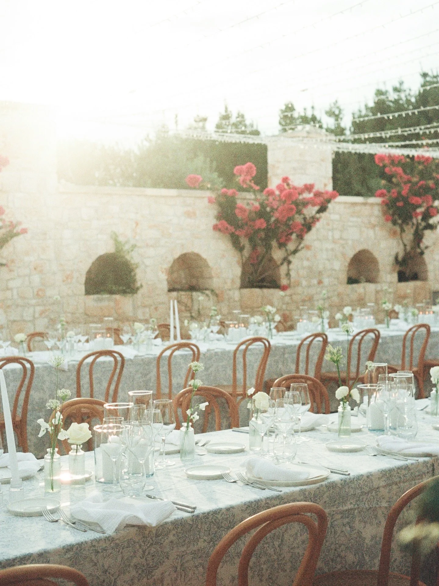 we are one month out from the start of our 2026 season, so giving some of our 2025 events their rightful spot on the grid. 
dinner under the (what turned out to be) clear sky at @masseriagrieco for Olivia + Leighton 💙 

how gorgeous are these @beati