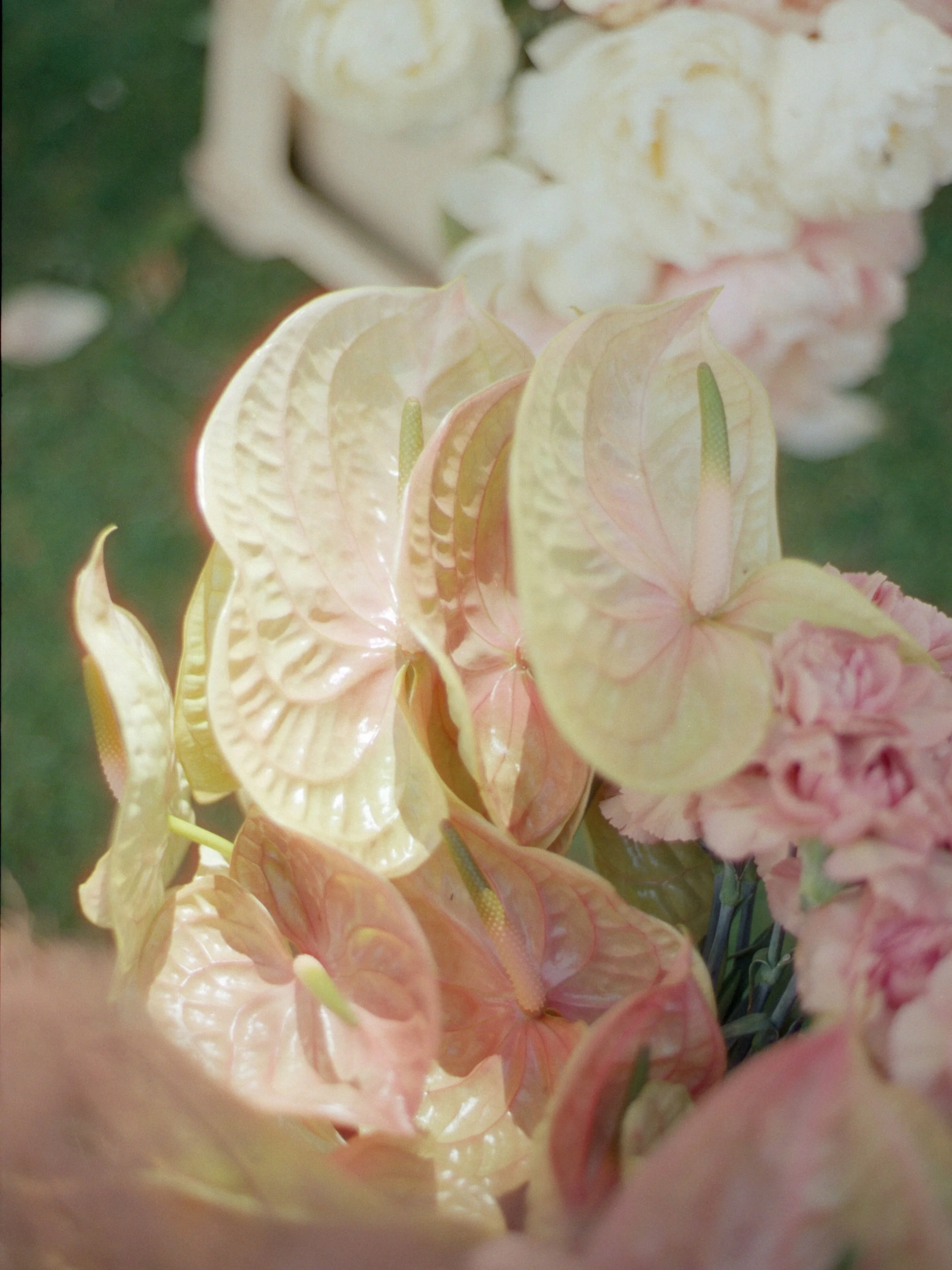 bloomin beautiful for E+M last June 🌺 

@emmacoxfloristry 
@emmylou.kelly
@middletonlodge 
@ash.davenport 
@alba.tableware
