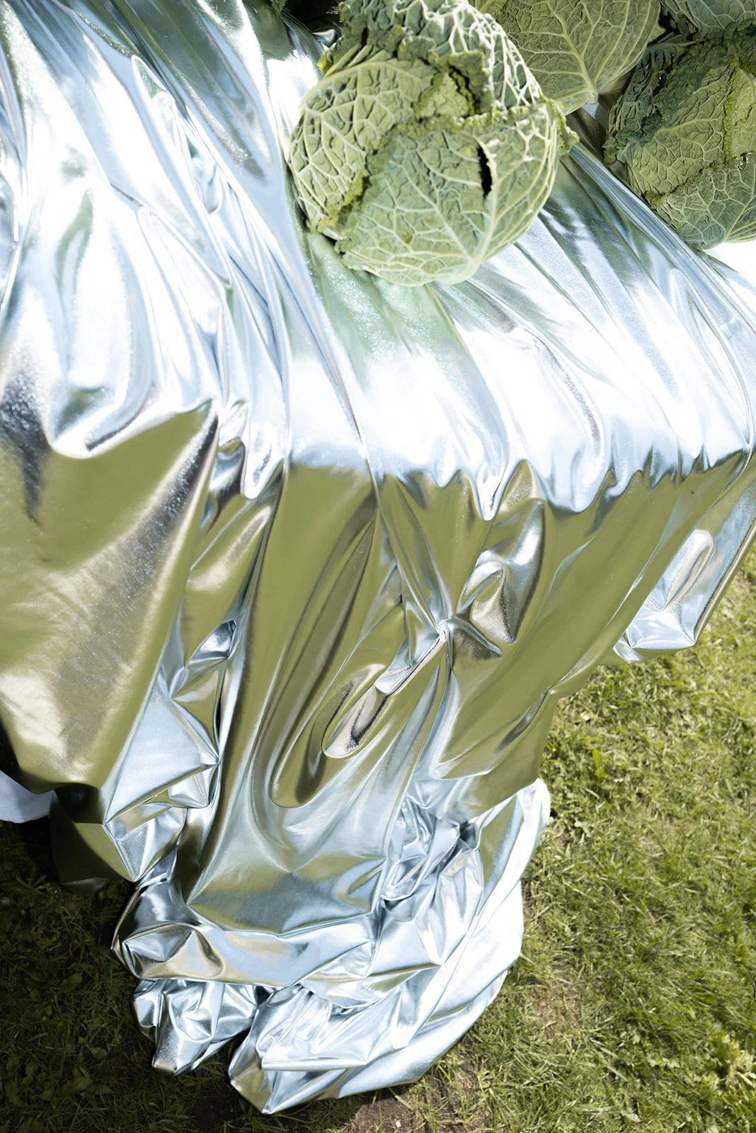 Close-up of a head of cabbage on top of crumpled reflective silver foil on grass.