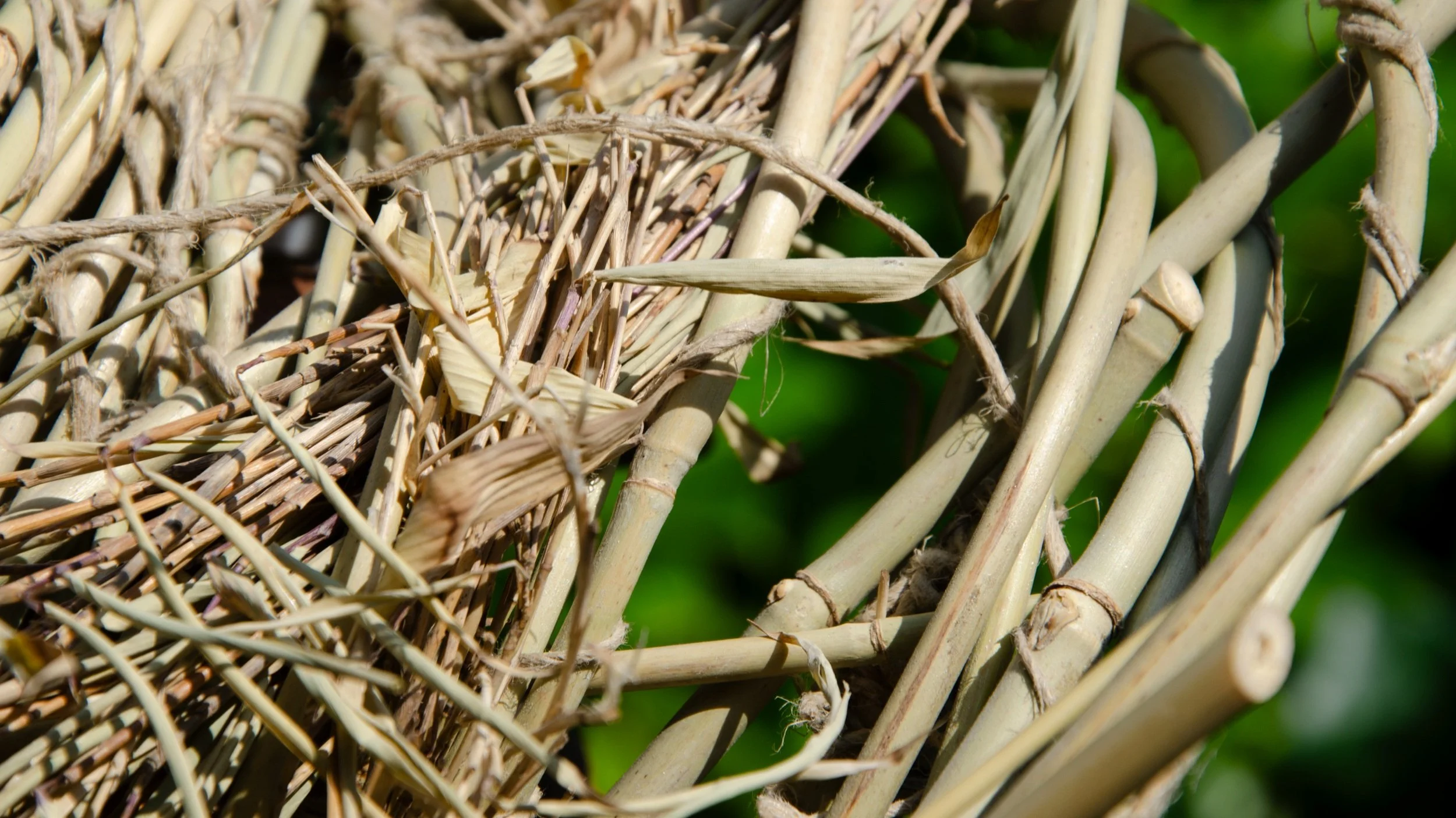 Hats_Bamboo+3.jpg