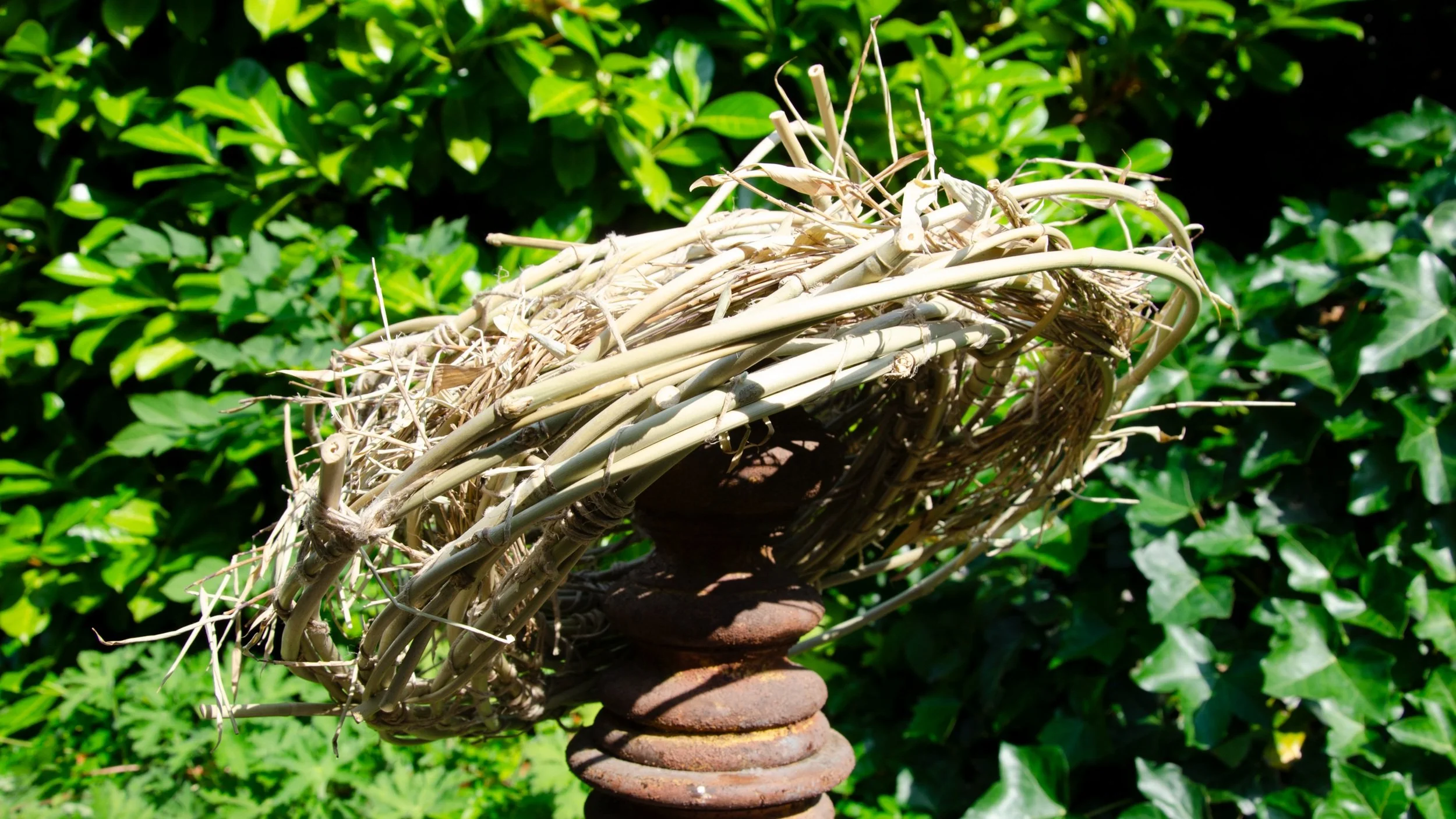 Hats_Bamboo+1.jpg