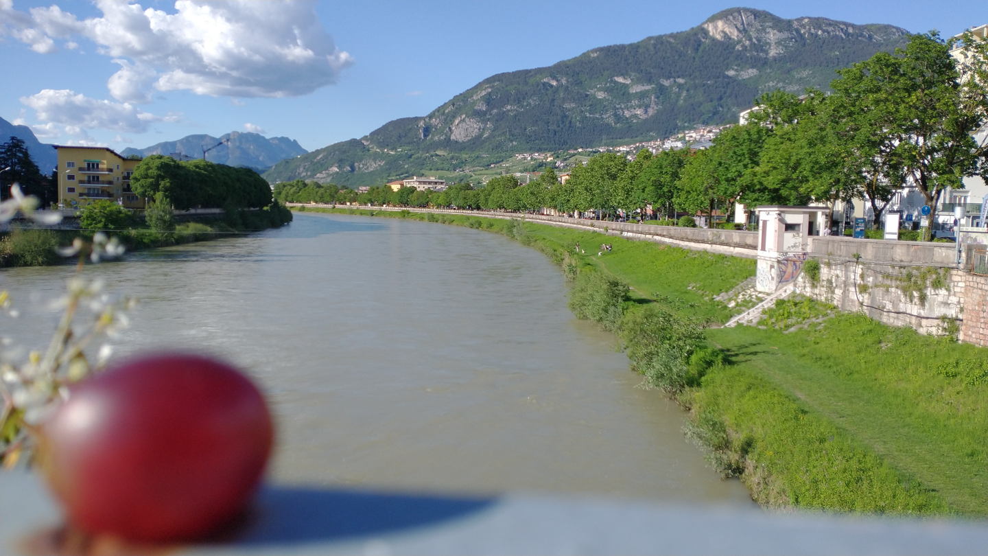 A Grape in Italy (16).png