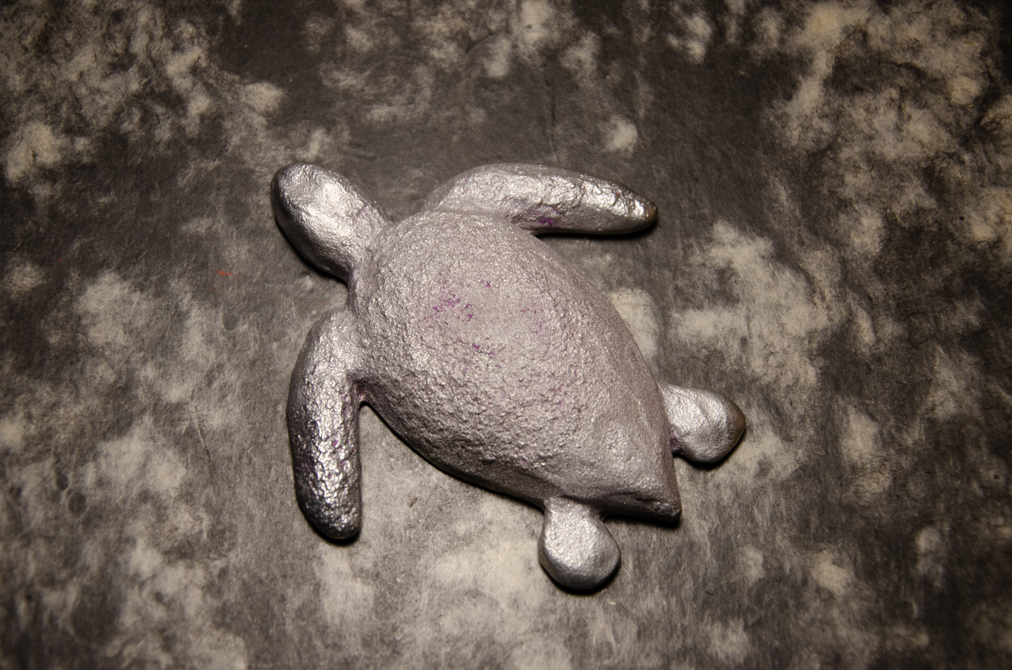 Turtle Sophia-1.png