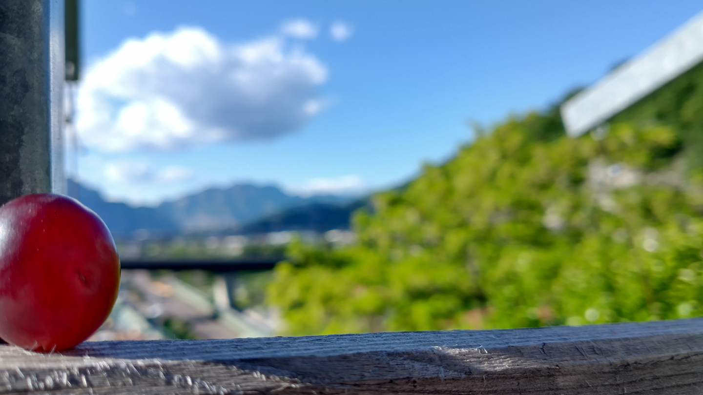 A Grape in Italy (21).png
