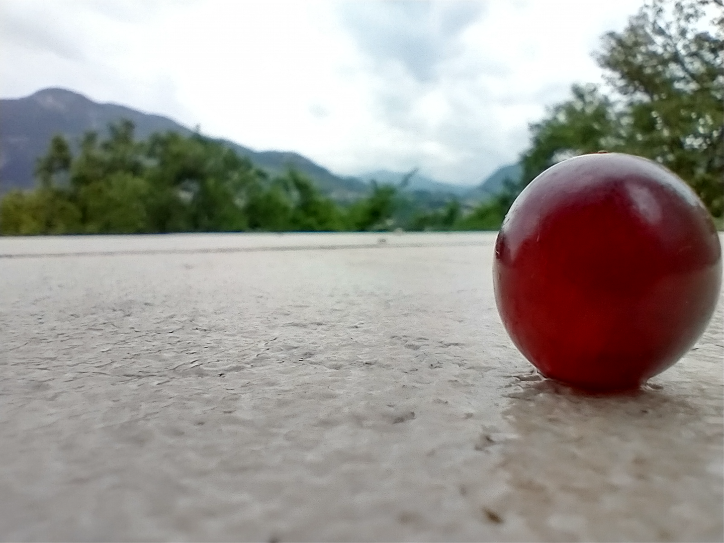 A Grape in Italy (70).png