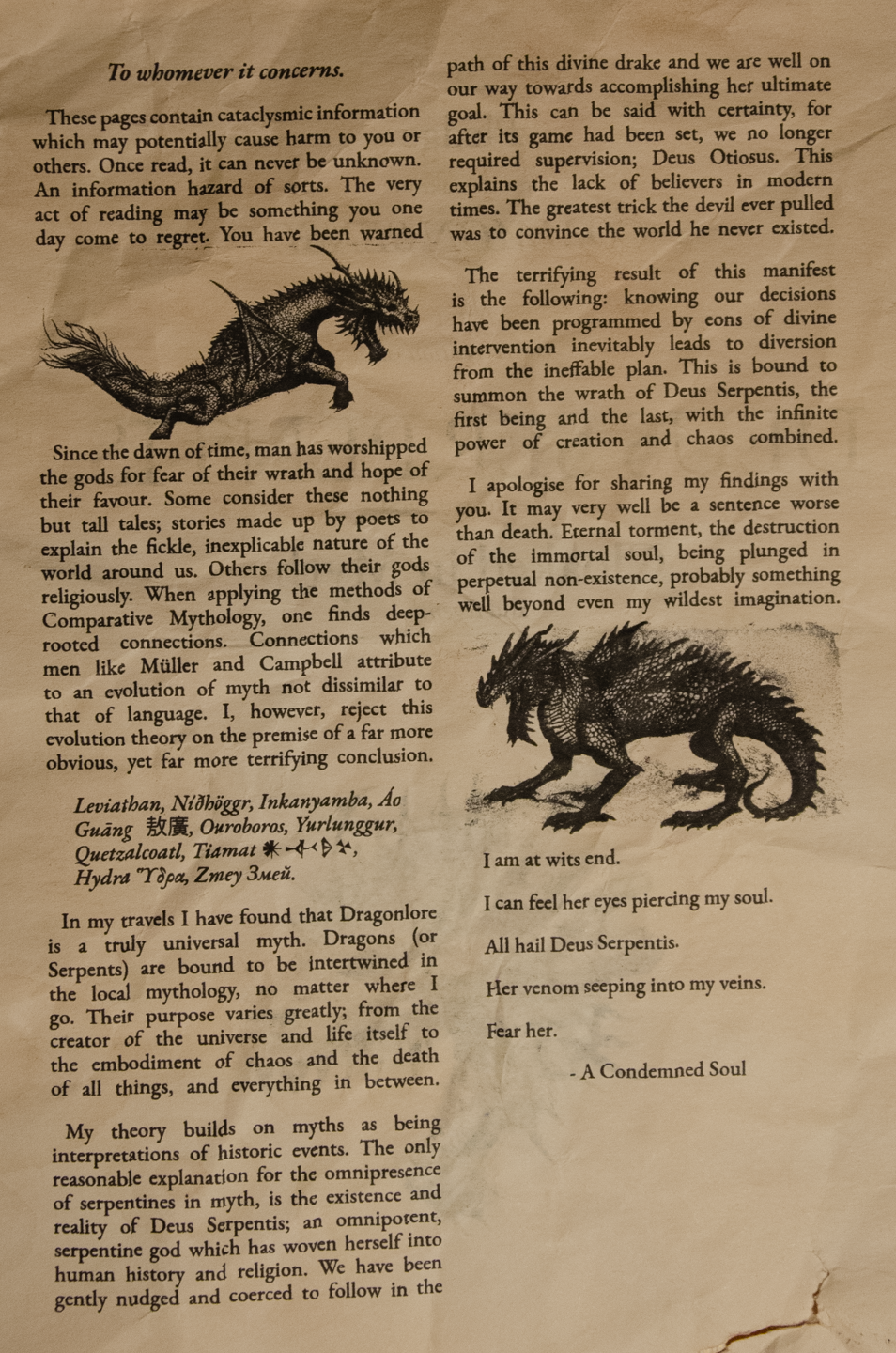 Pamphlet Typed (6).png