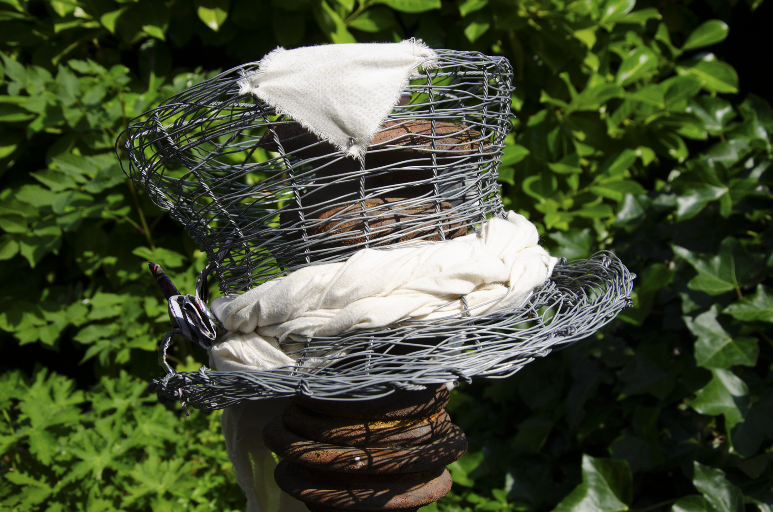 Hats_Wire Thumbnail.png