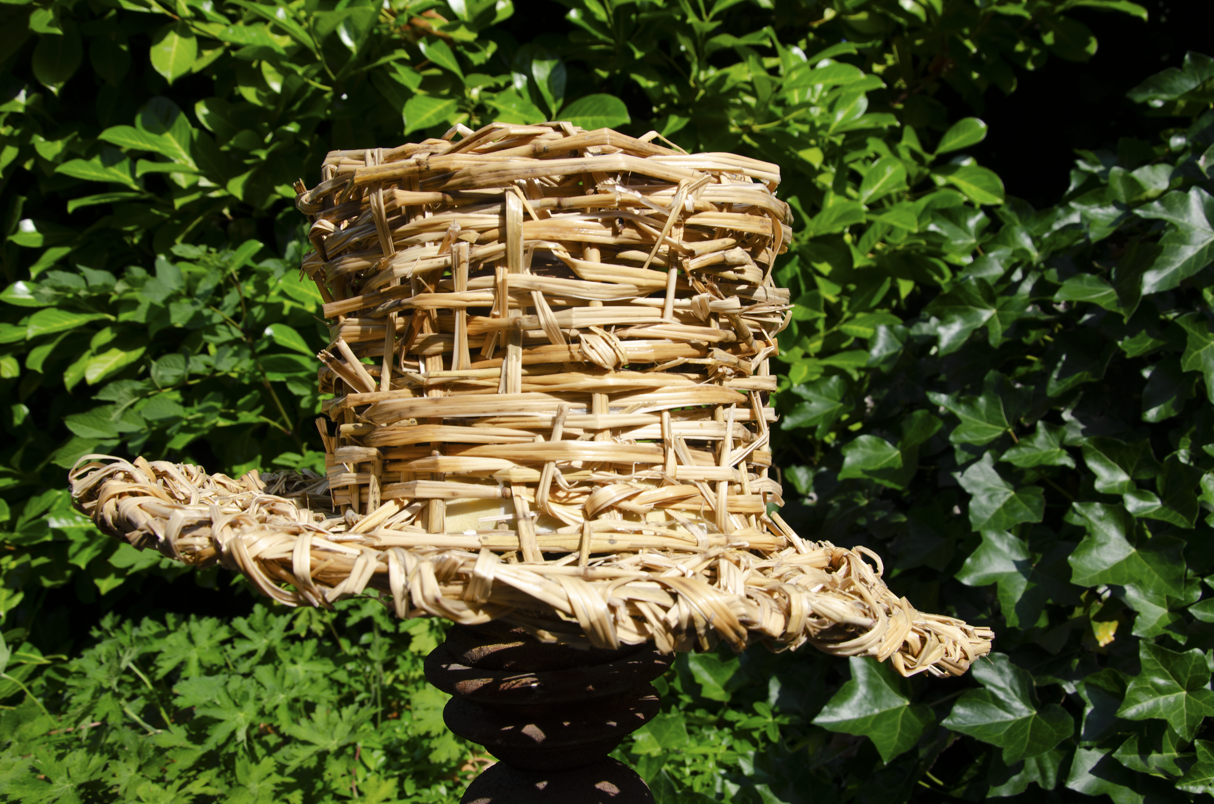 Hats_Straw Thumbnail.png