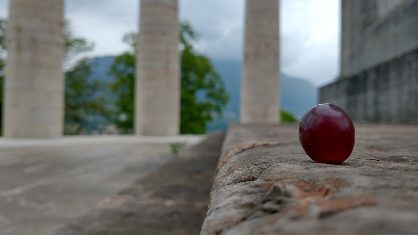 A Grape in Italy (86).png