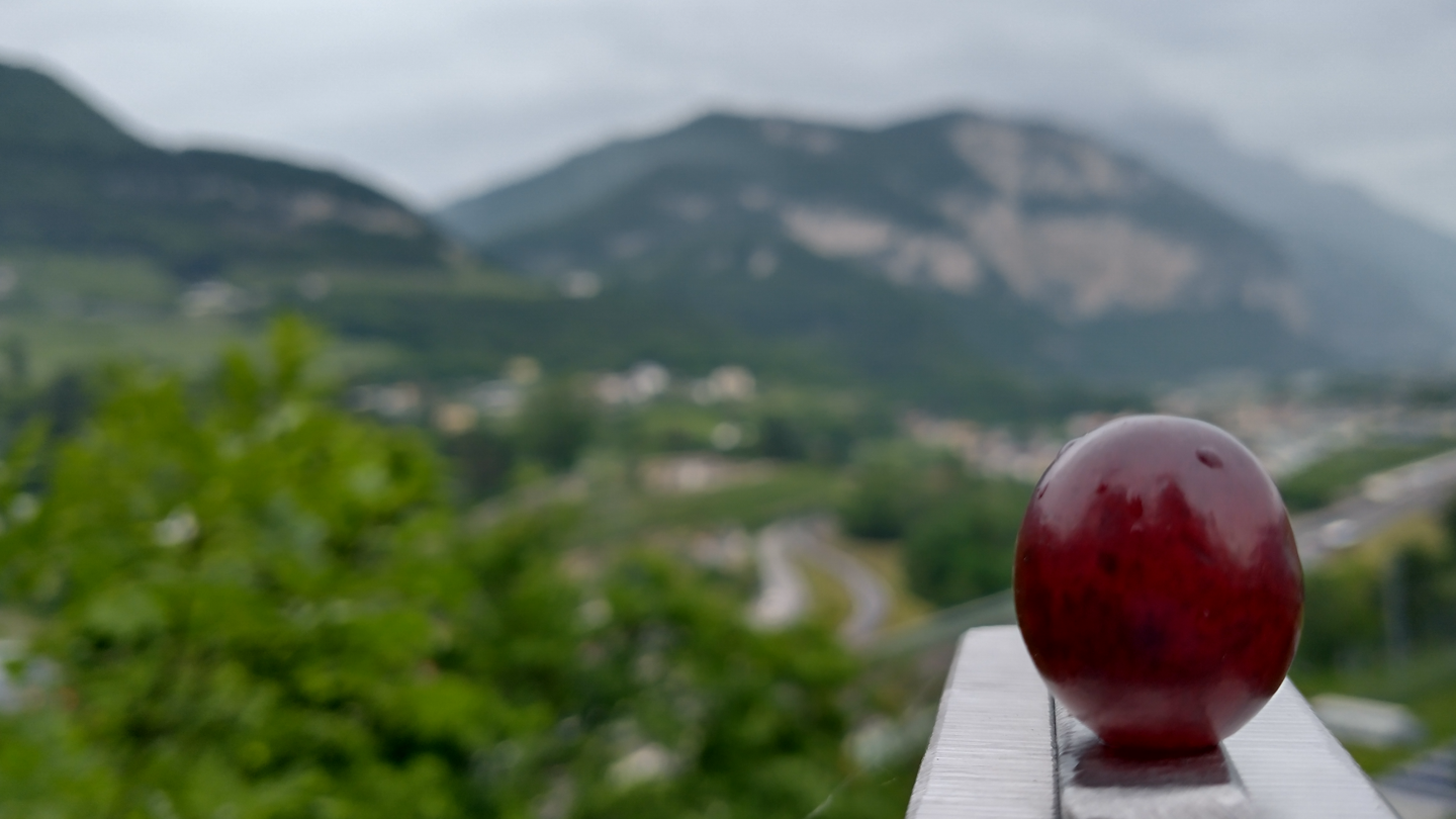 A Grape in Italy (108).png
