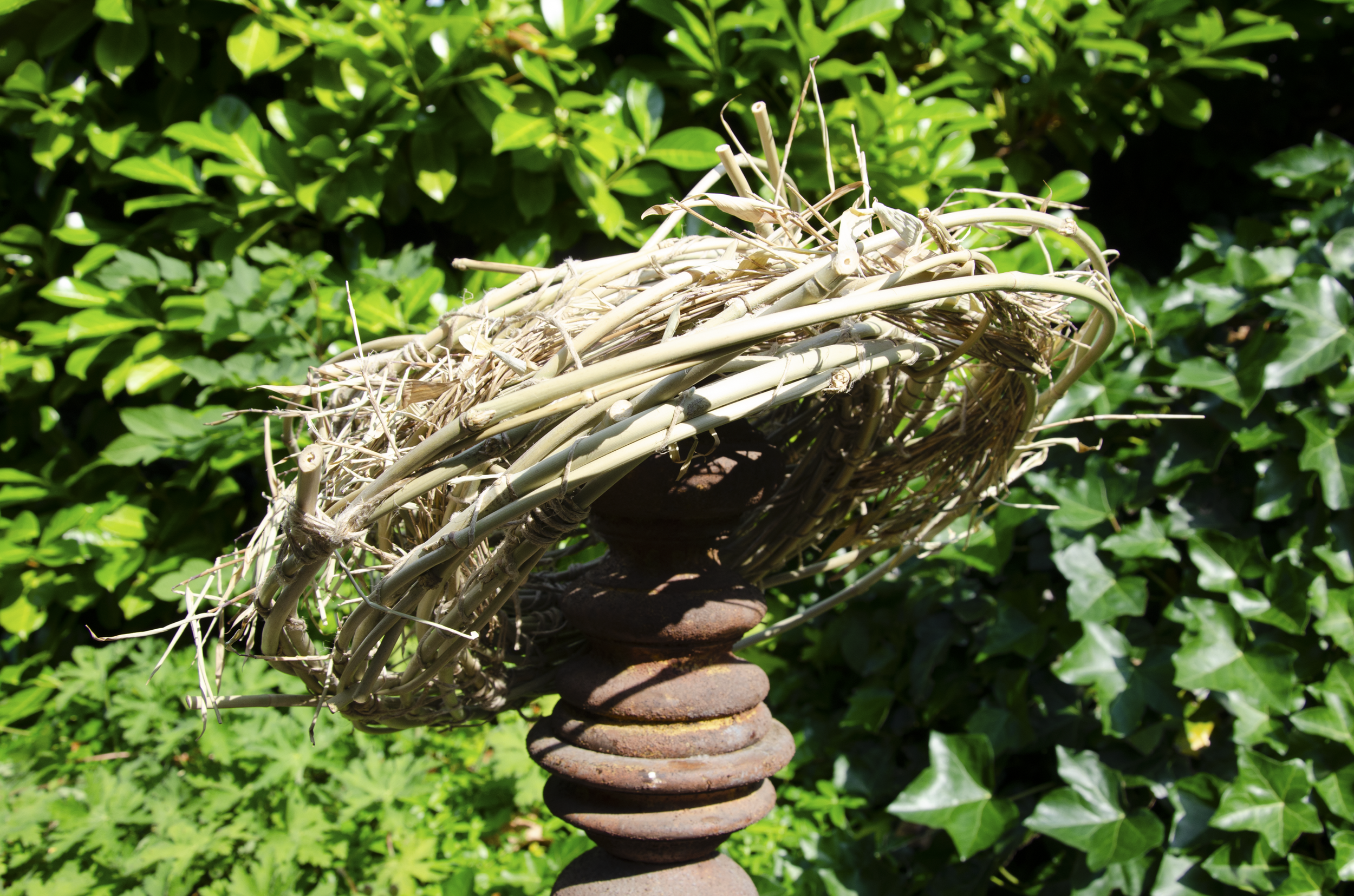 Hats_Bamboo Thumbnail.png