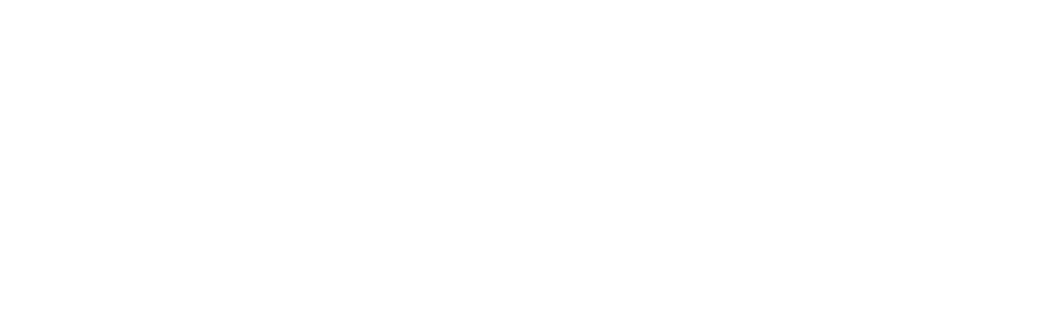 Wildhawk a Bohemian Martini Bar in San Francisco Mission District