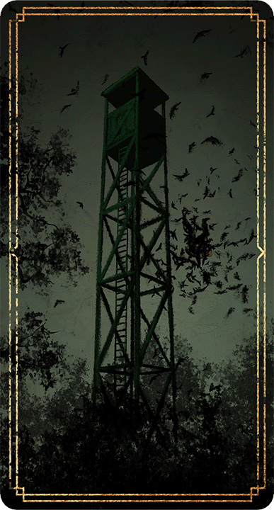 Tracelight_0000s_0012_Card_Major_14_Ornithologist.psd.png
