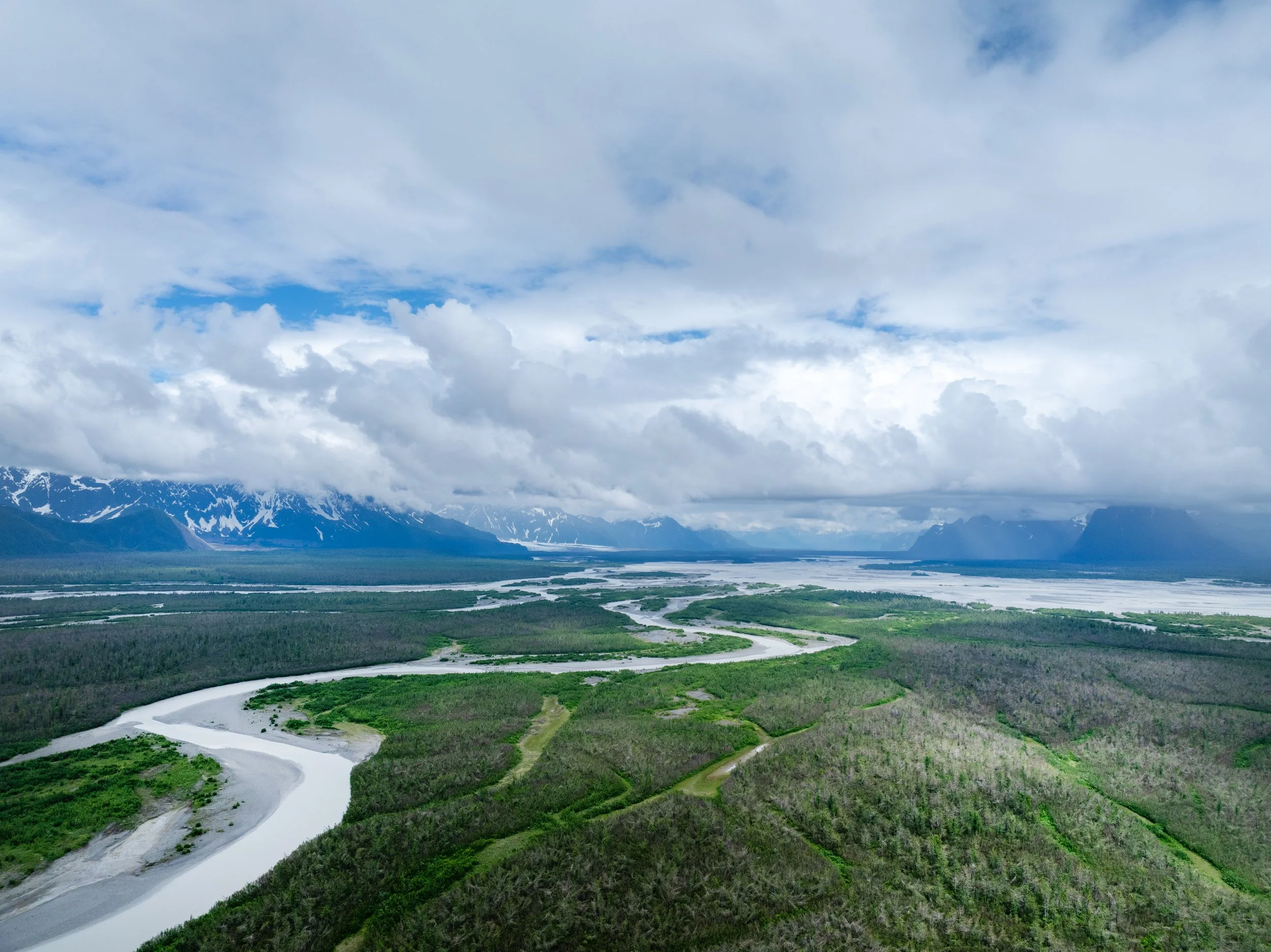 Copper River Delta, Cordova, Alaska