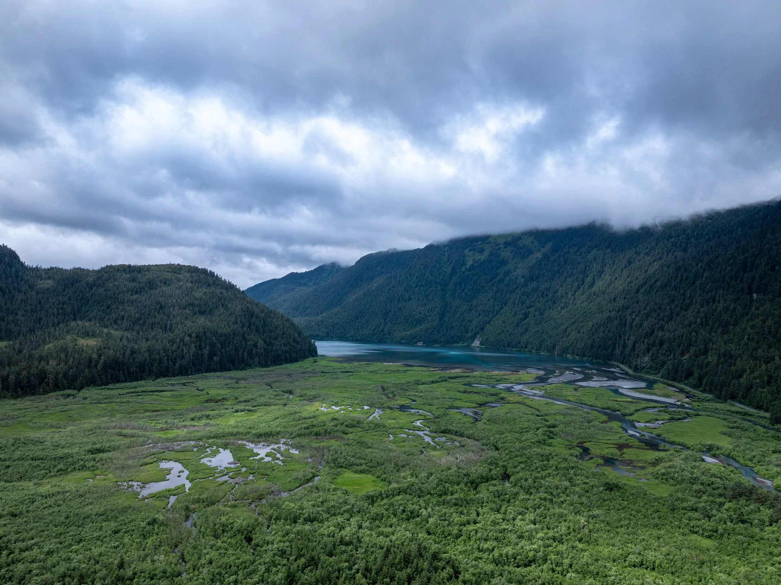 Edge of Eyak Lake, Cordova, Alaska