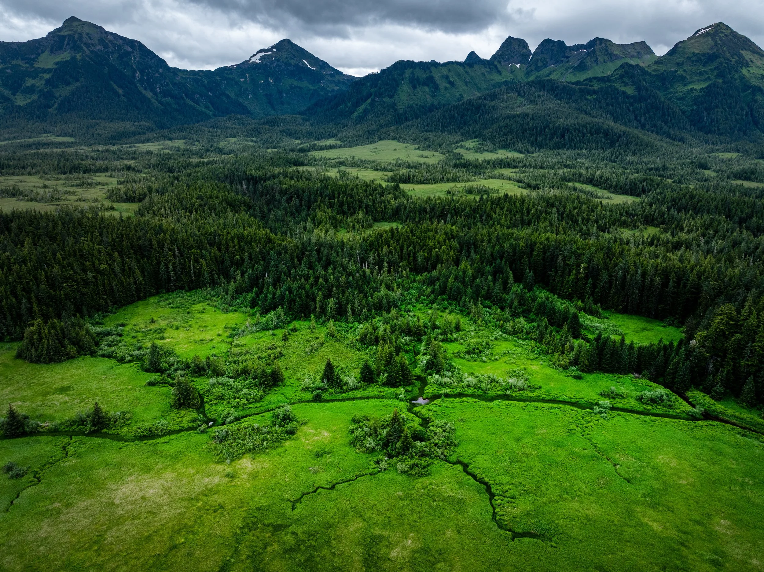 Thunderbird beneath the mountains, Cordova, Alaska