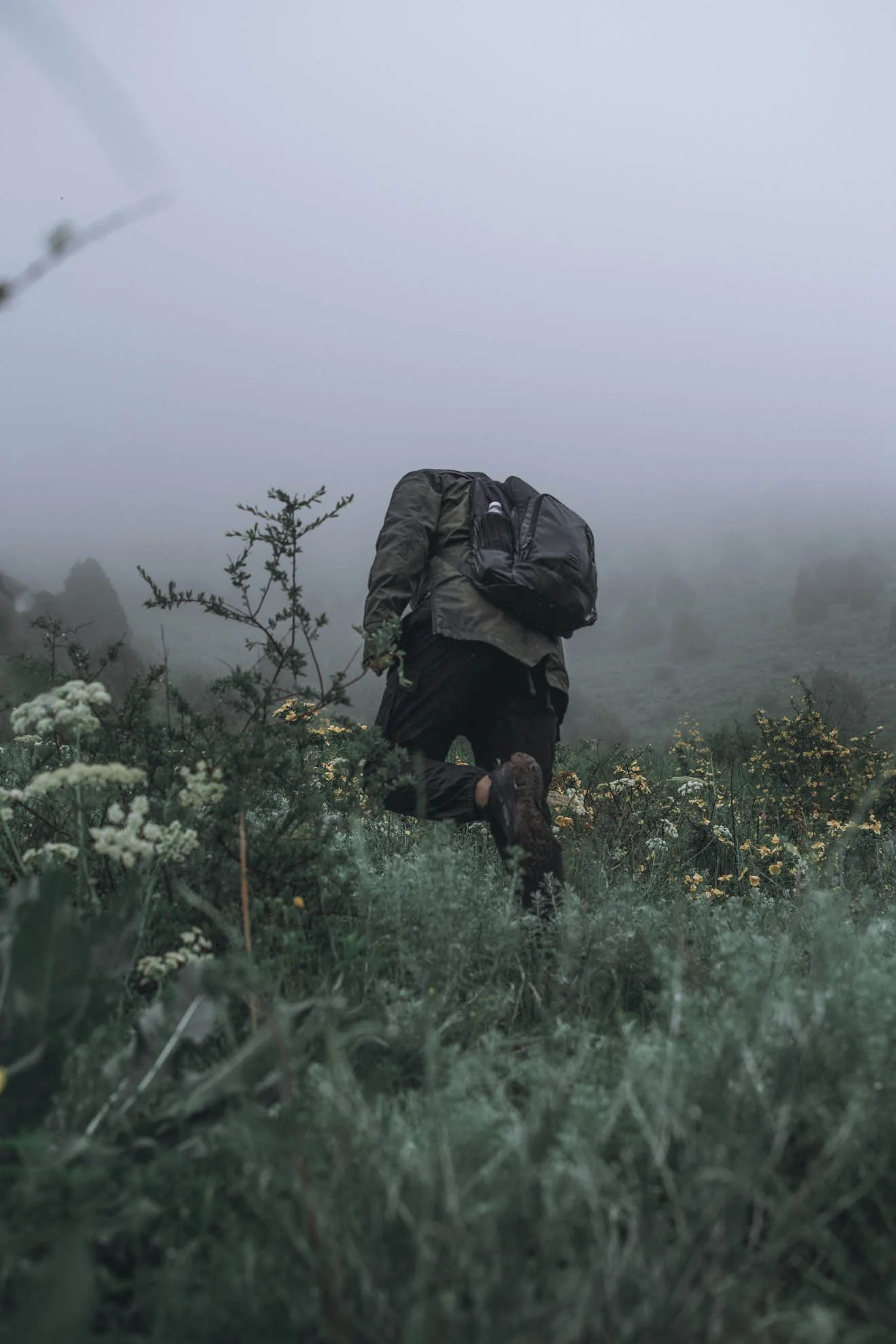 A person in outdoor gear, including a backpack, is kneeling or crouching in a foggy, lush, mountainous landscape with plants and flowers in the foreground.