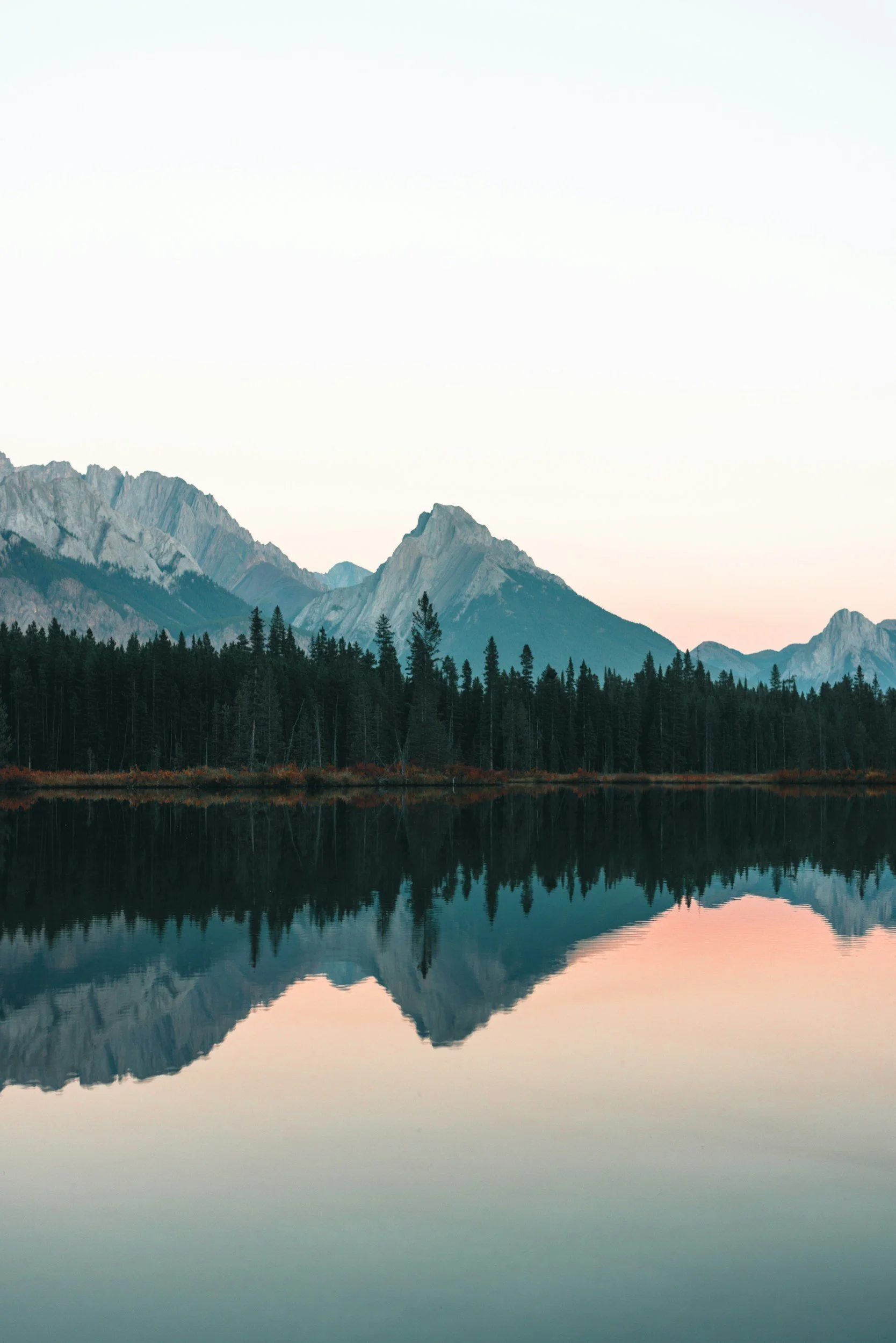 Life Transitions Counselling &amp; Therapy in Chilliwack BC
