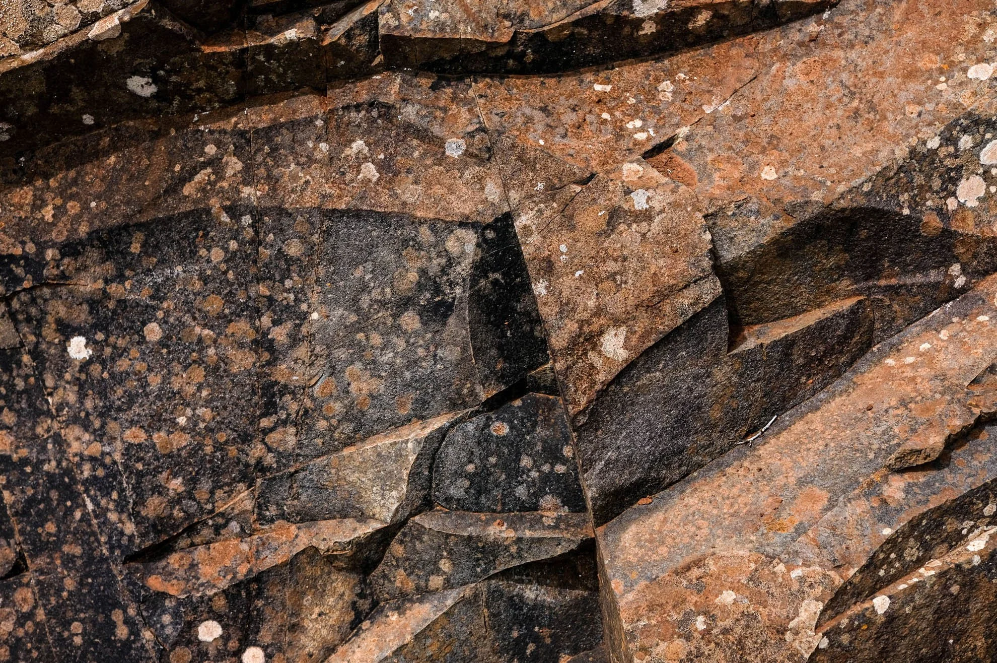 Close-up of a granite rock surface with black, brown, and tan speckles and natural cracks.