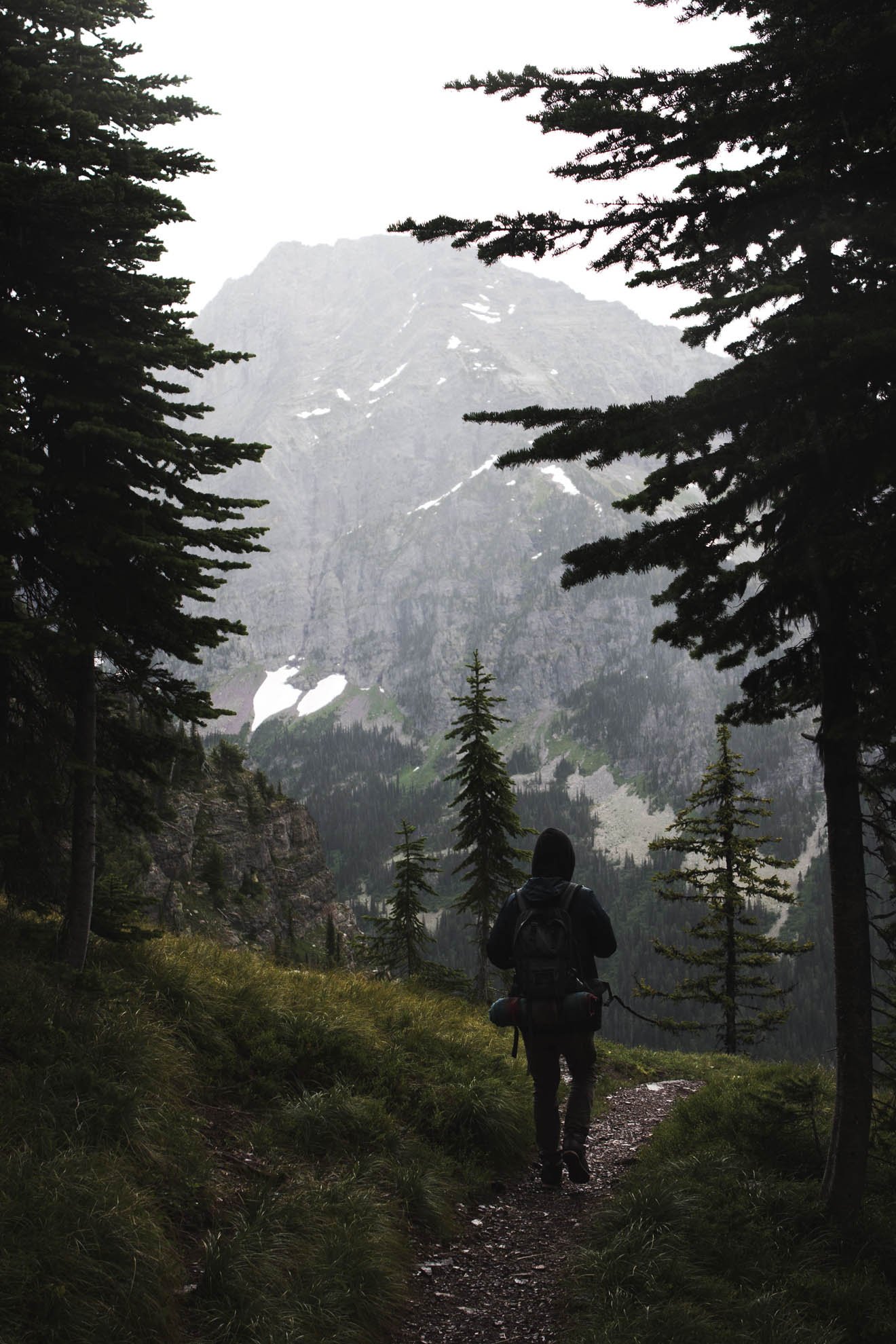 A person with a backpack hiking on a trail through a forest with tall pine trees, leading towards a mountain with patches of snow near the top, under an overcast sky.
