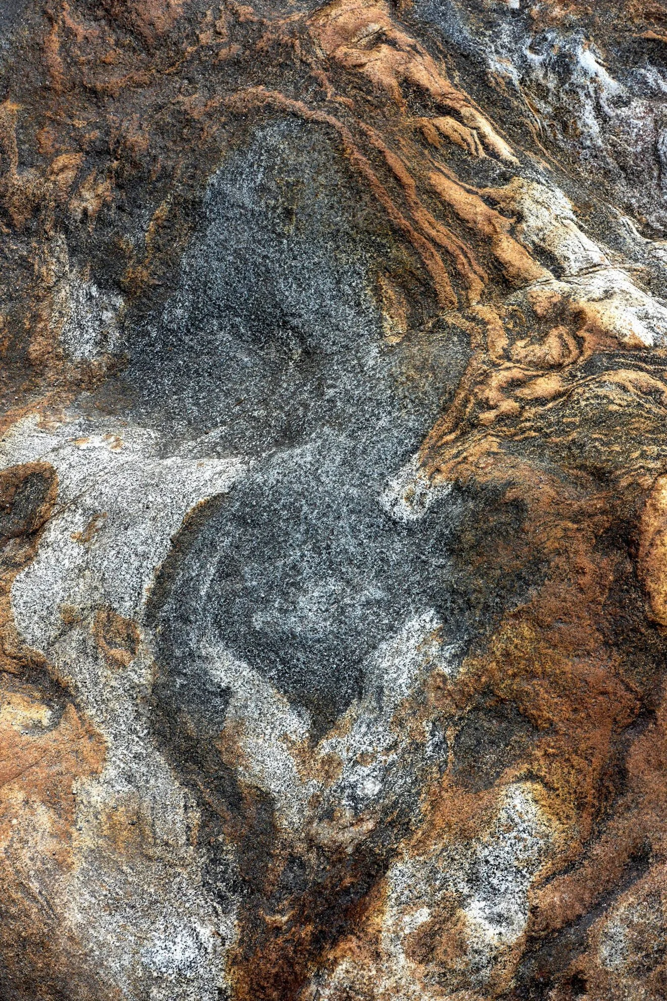 Close-up photo of a textured stone or mineral surface with black, gray, white, and brown colors and intricate patterns.